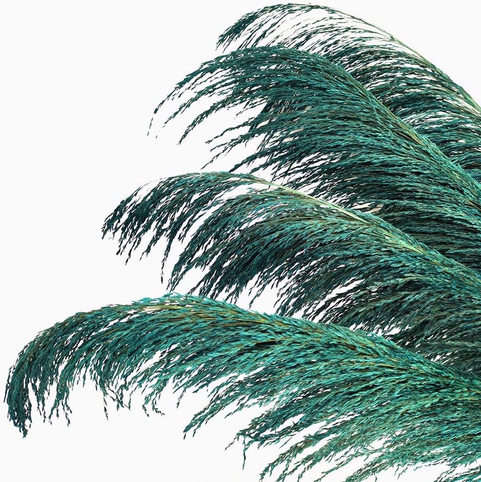 Teal Pampas Grass Decor Tall 4pcs Natural Dried Blue Floral with Aroma