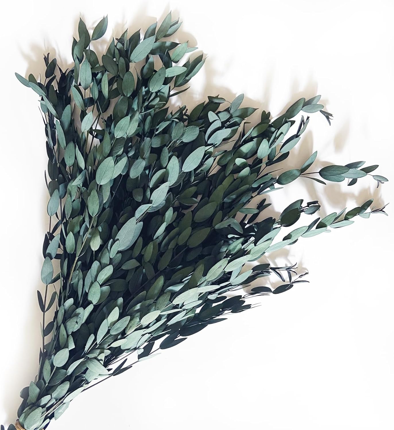 Blue Preserved Eucalyptus Stems 20 Pcs for Decor and Aromatherapy