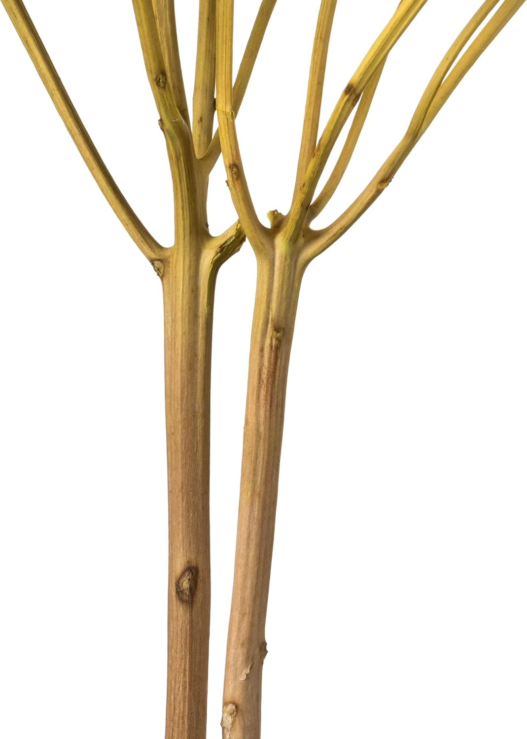 Vickerman Yellow Hydrangea 15 Inch Artificial Flower