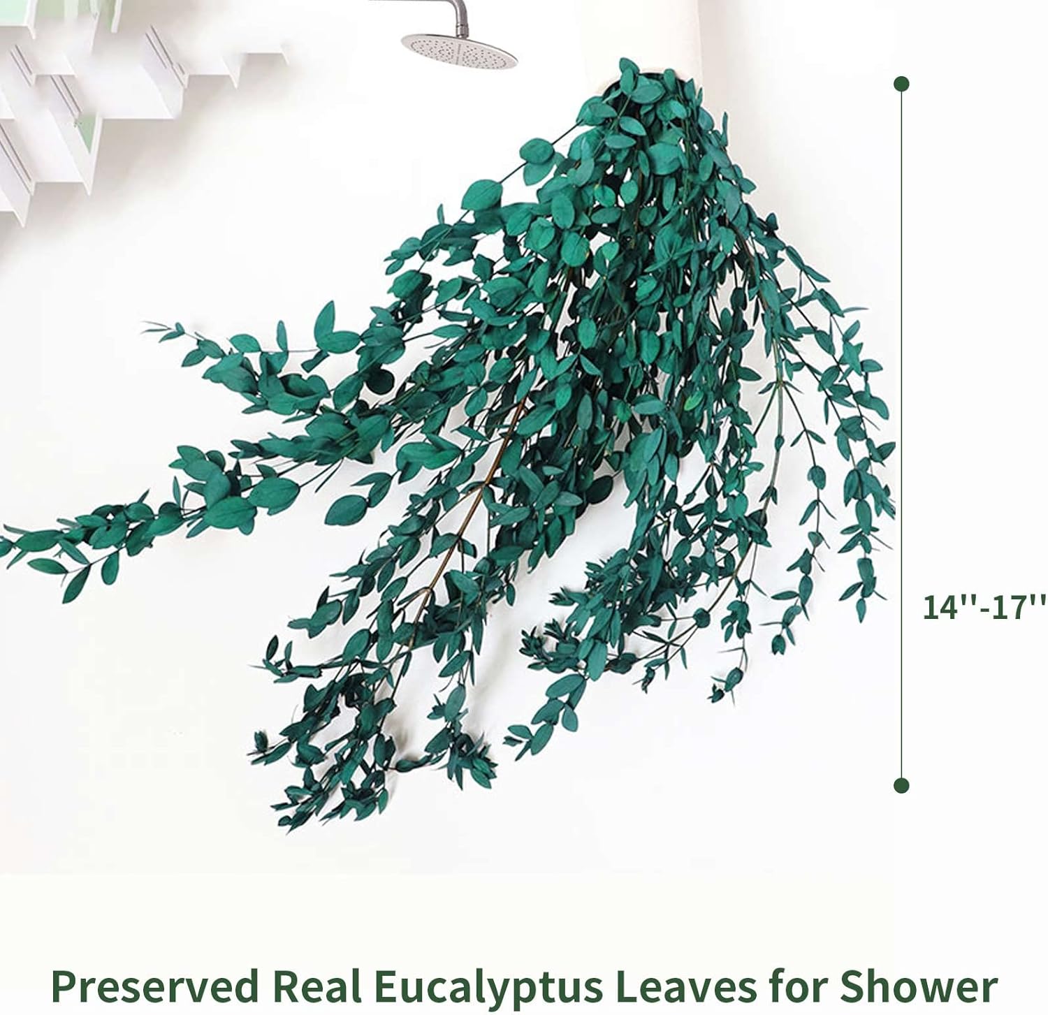 Tavkite Dried Eucalyptus Garland Stems 4 Oz Bundle