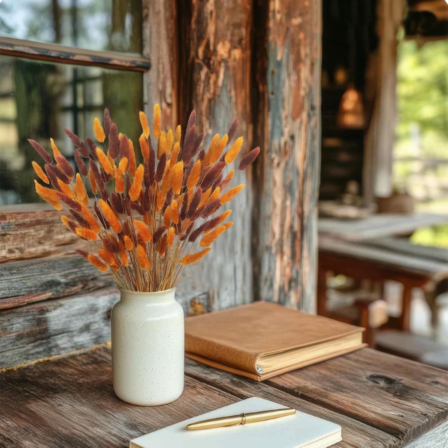 CISDUEO 120pcs Dried Bunny Tails Flowers for Boho Decor Wedding DIY