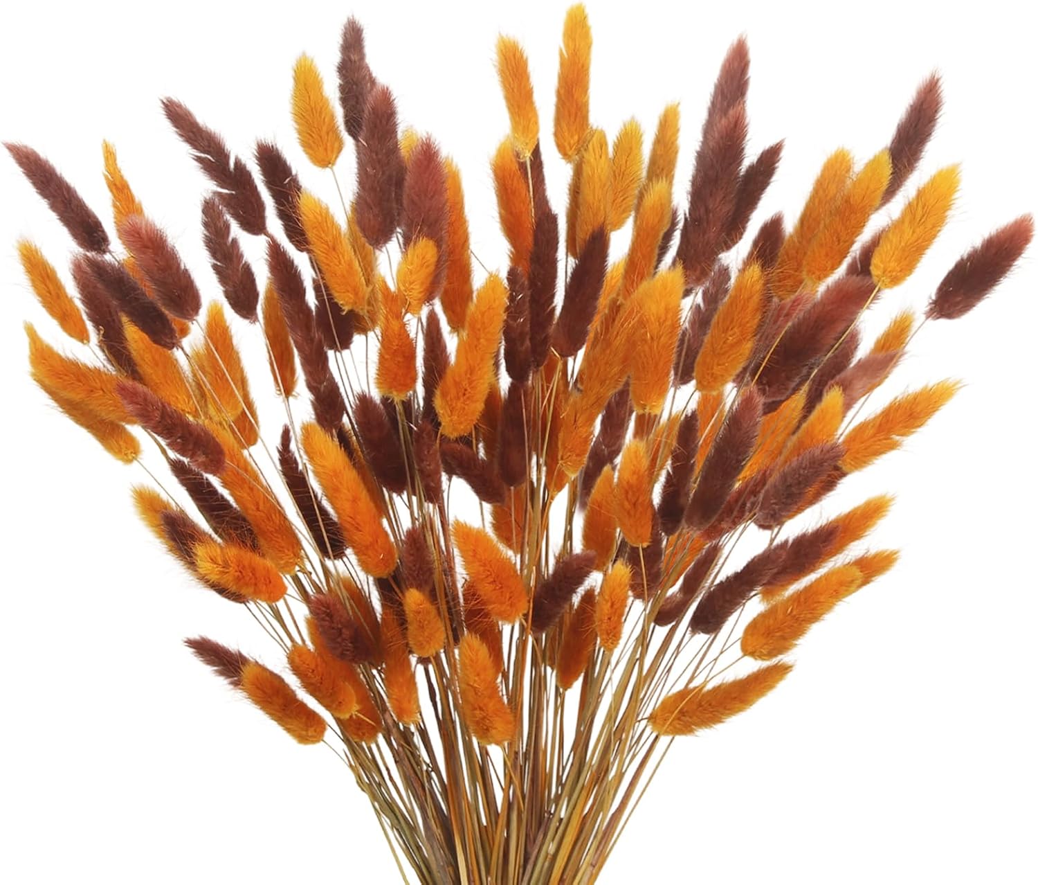 CISDUEO 120pcs Dried Bunny Tails Flowers for Boho Decor Wedding DIY