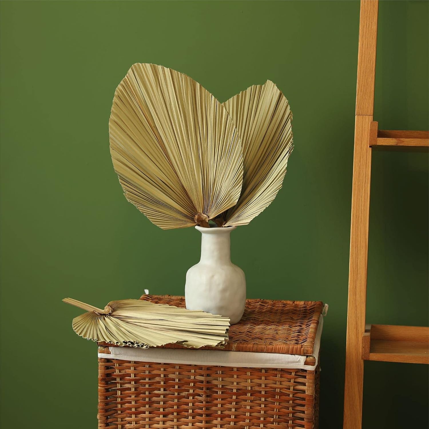 Natural Dried Palm Leaves 3 Pcs for Boho Decor