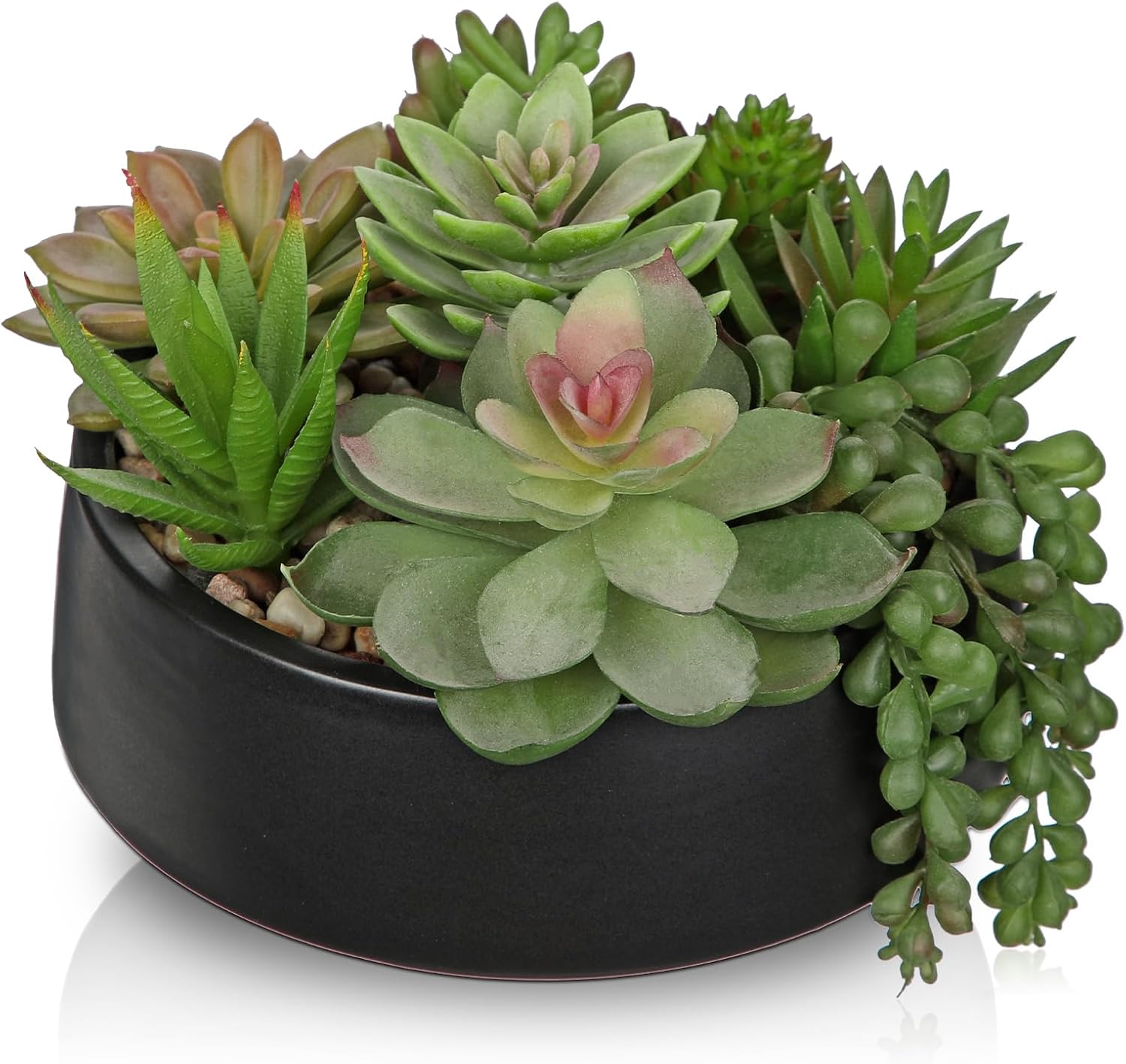 DILATATA Artificial Succulent Plants in Black Ceramic Pot