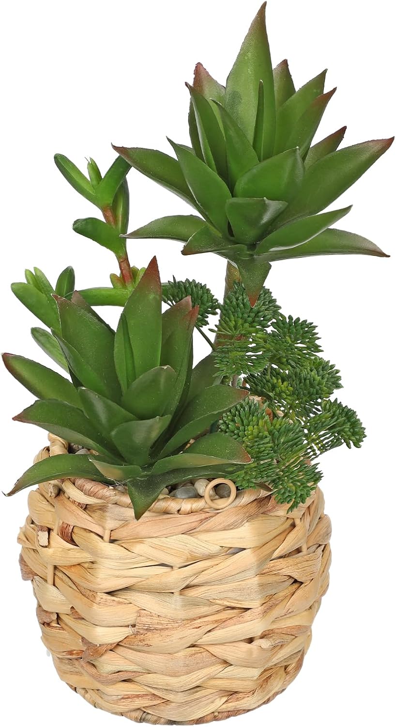 10 Inch Large Artificial Succulents in Woven Pots