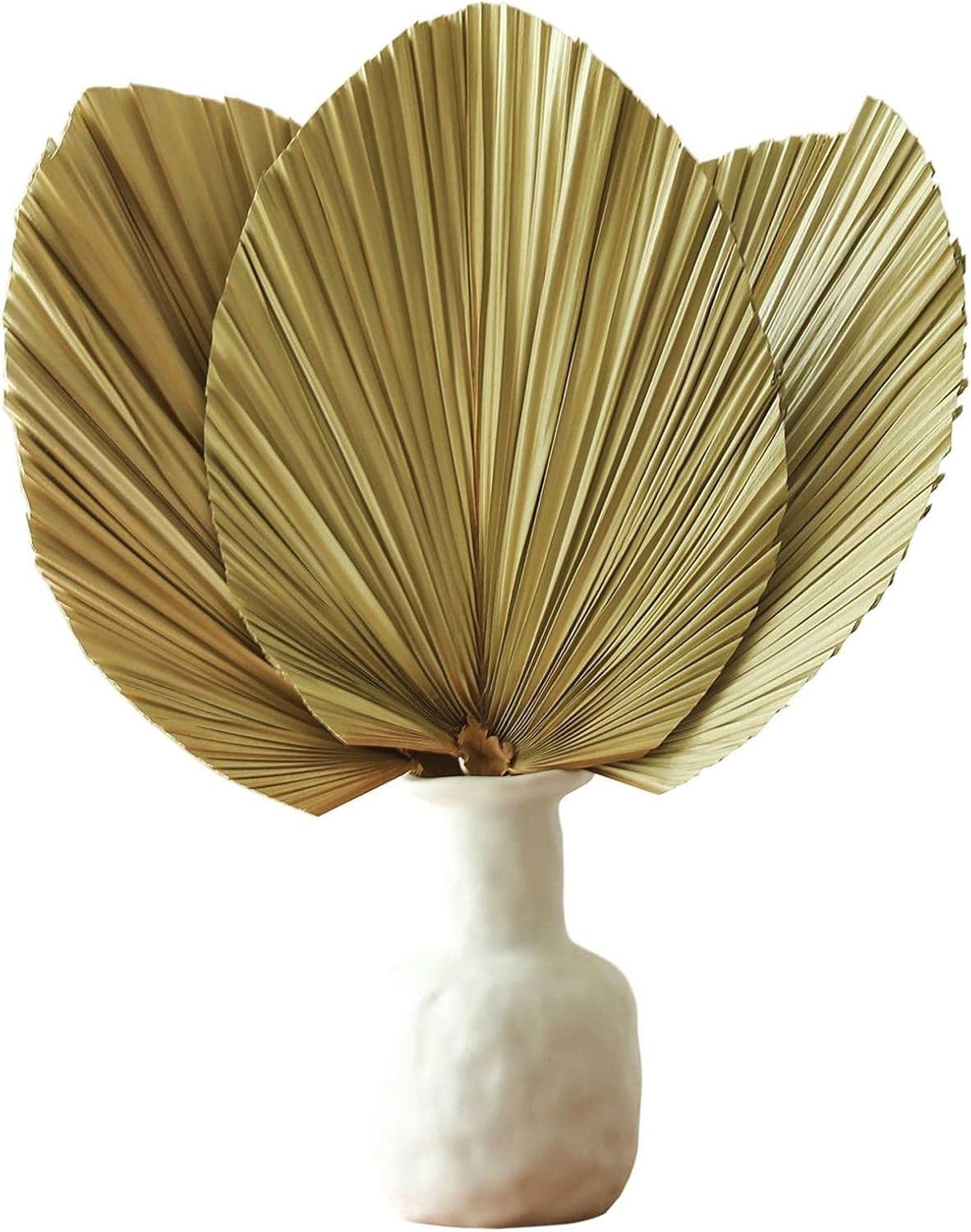 Natural Dried Palm Leaves 3 Pcs for Boho Decor