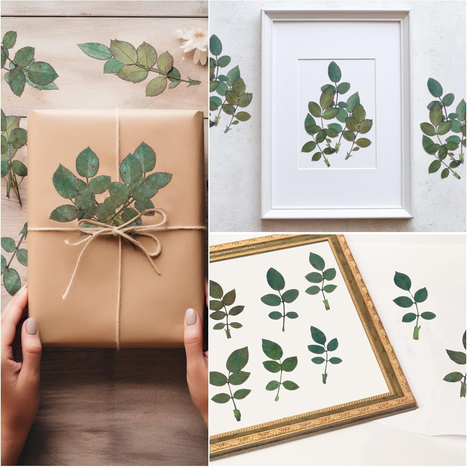 Fabbay 200 Pcs Dried Green Leaves for Resin Art and Home Decor