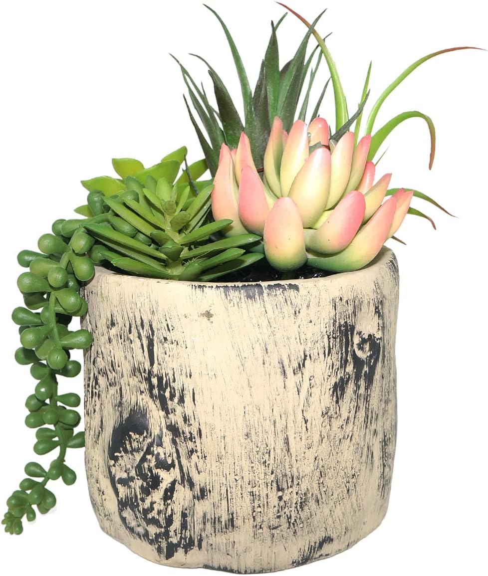 Hisow Artificial Succulent Plants in Ceramic Pots Assorted Decor