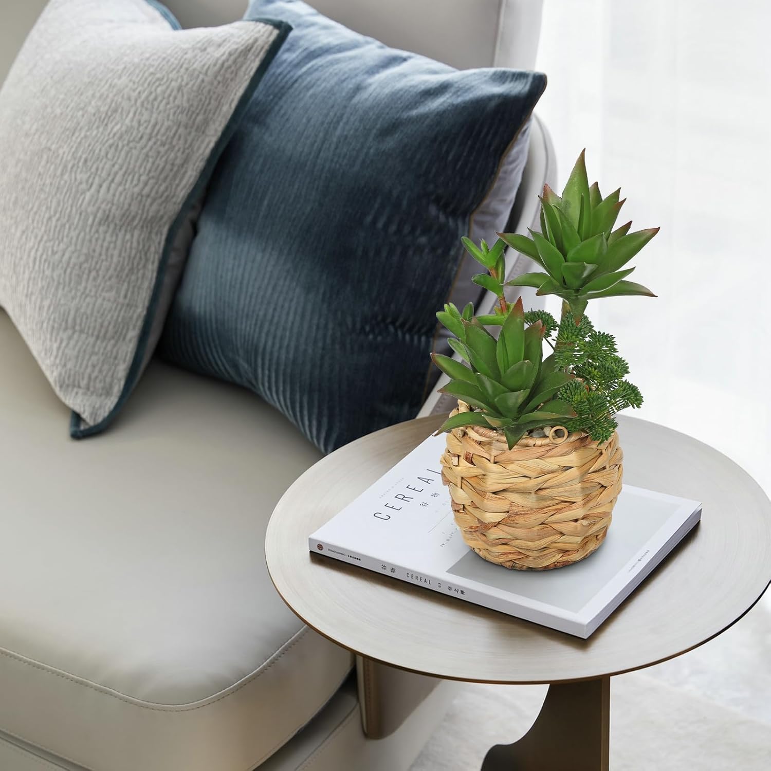 10 Inch Large Artificial Succulents in Woven Pots