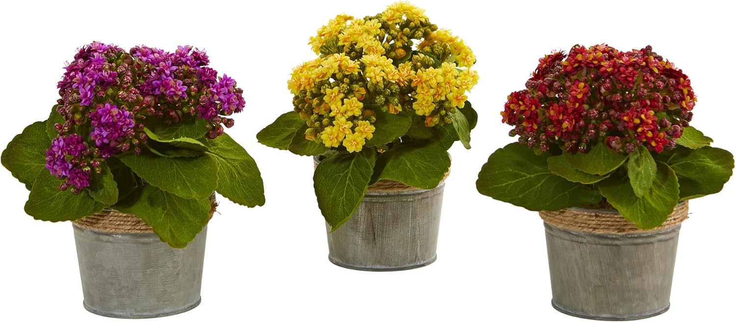 Nearly Natural Kalanchoe Artificial Arrangements Set of 3