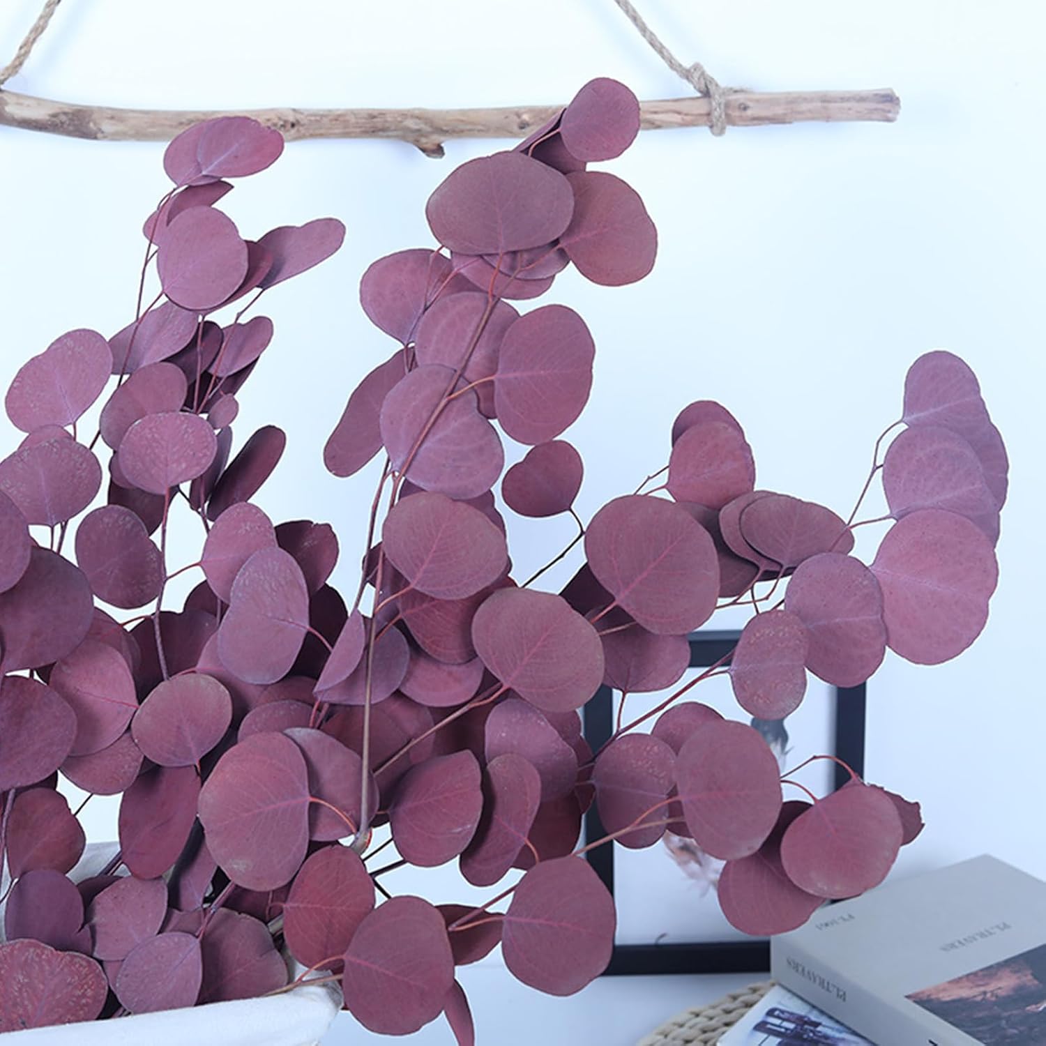 Preserved Dried Eucalyptus Stems for Vase Decor and Home Decor