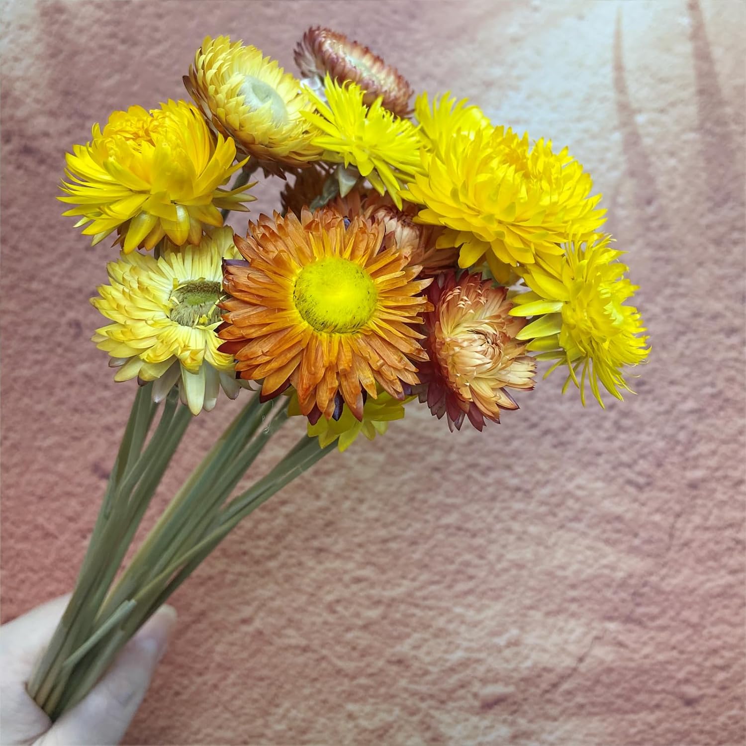 LBREVOGA Dried Flower Bouquets Yellow Champagne 16 Pcs