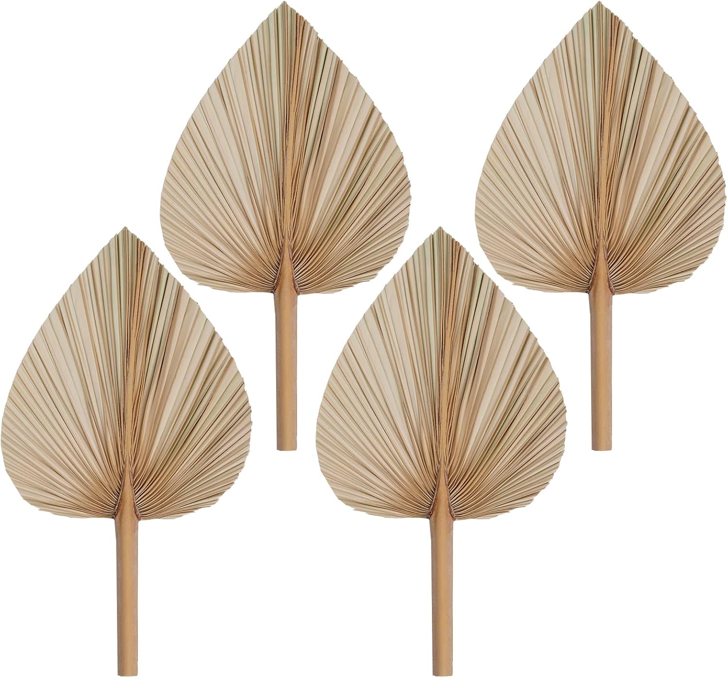 Rbenxia 4 Piece Dried Palm Leaves Heart Shaped Boho Fans for Holidays Weddings Parties and Baby Showers