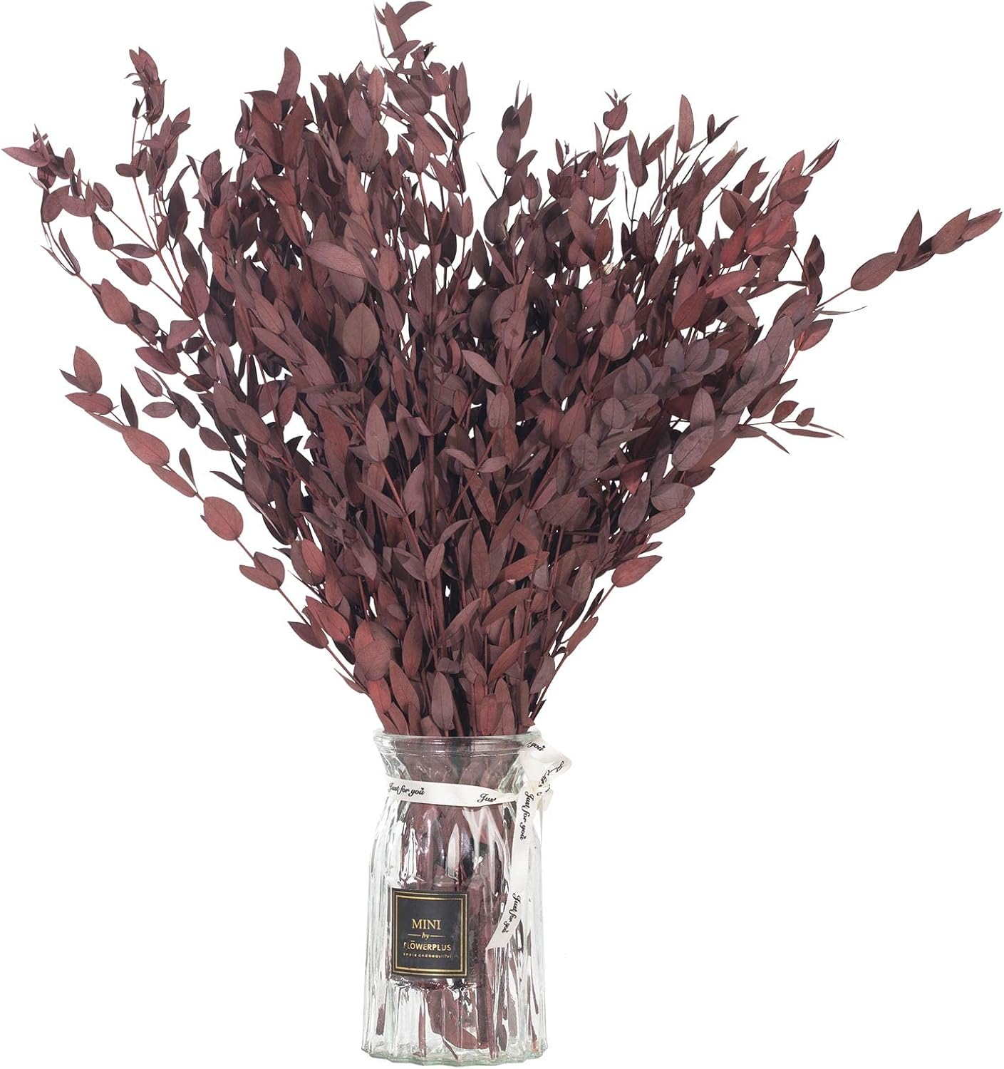 Tavkite Dried Eucalyptus Garland Stems 4 Oz Bundle 1