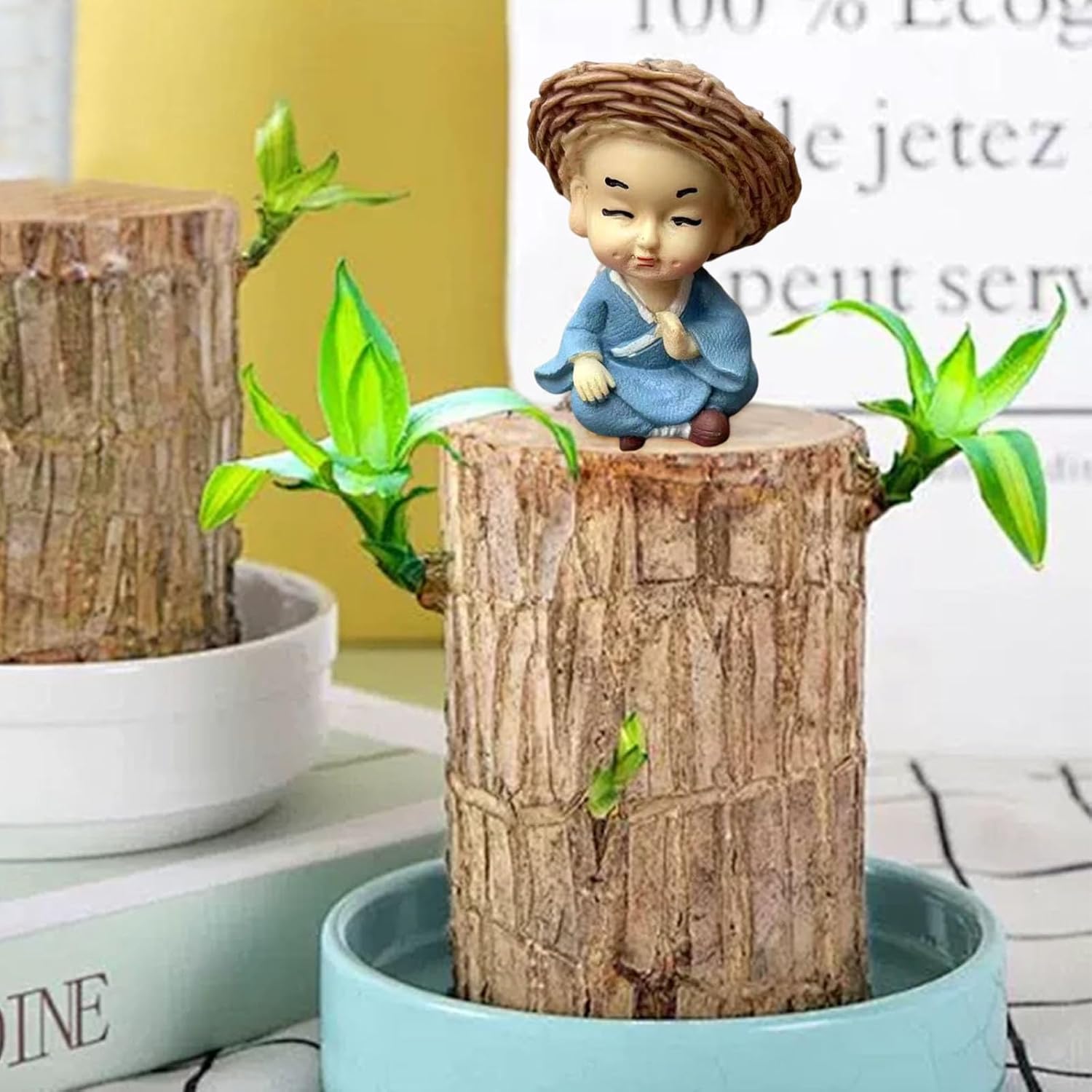 Brazilian Wood Potted Plant Decoration 4pc Set