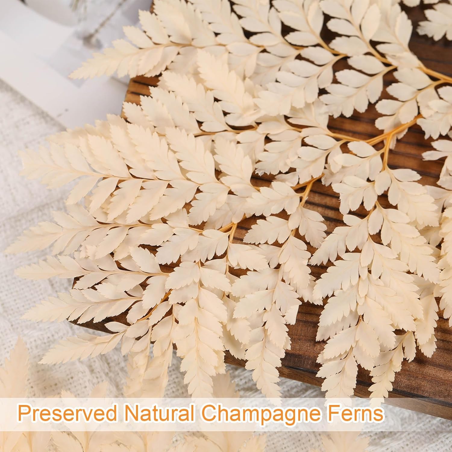 Tavkite Dried Boston Ferns 10 PCS Realistic Leaves for Wedding Decorations