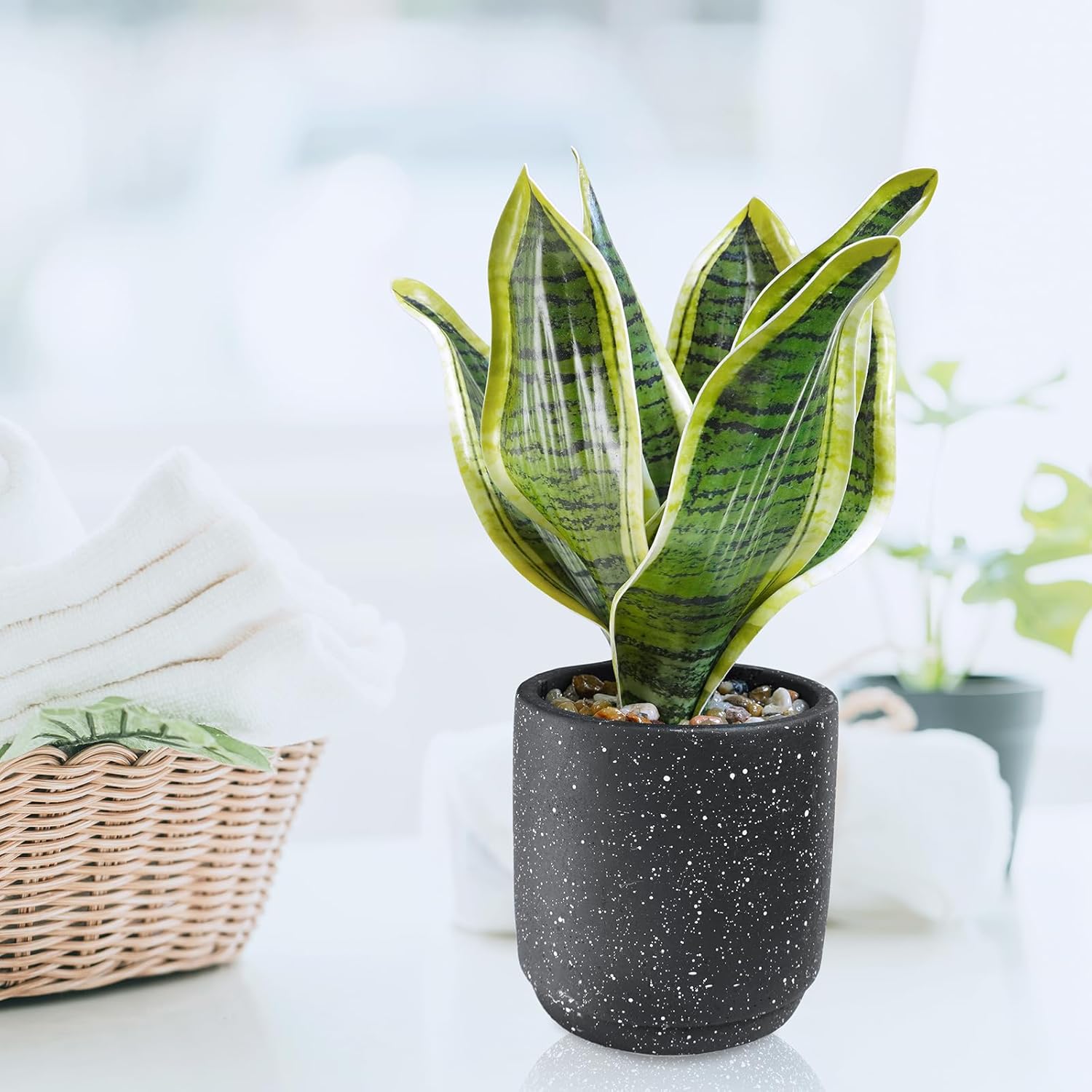 Winlyn 3 Pack Artificial Plants in Black Cement Pots