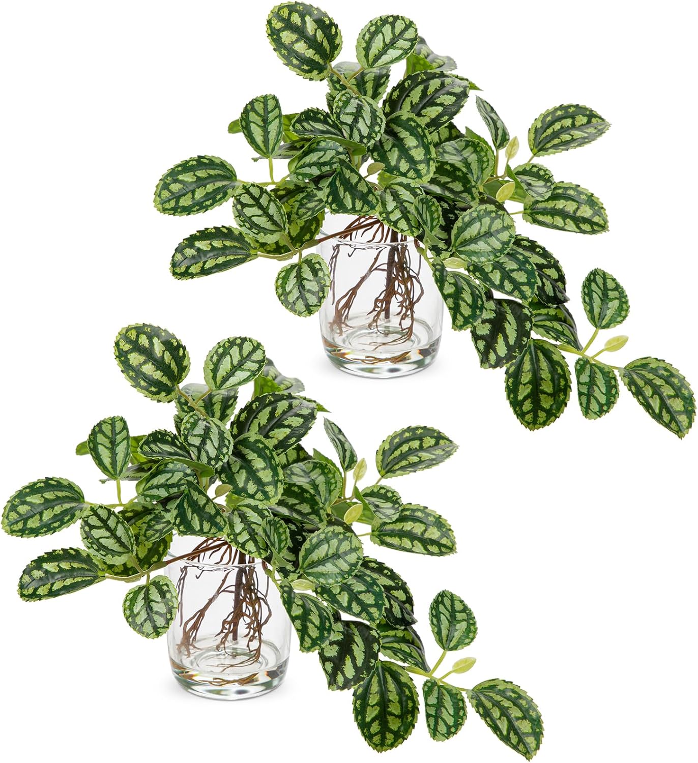 Artificial Watermelon Peperomia Stems in Glass Vase