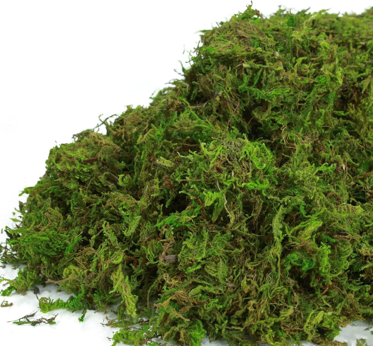 BYHER Artificial Moss for Indoor Plants 16OZ Green Faux Moss