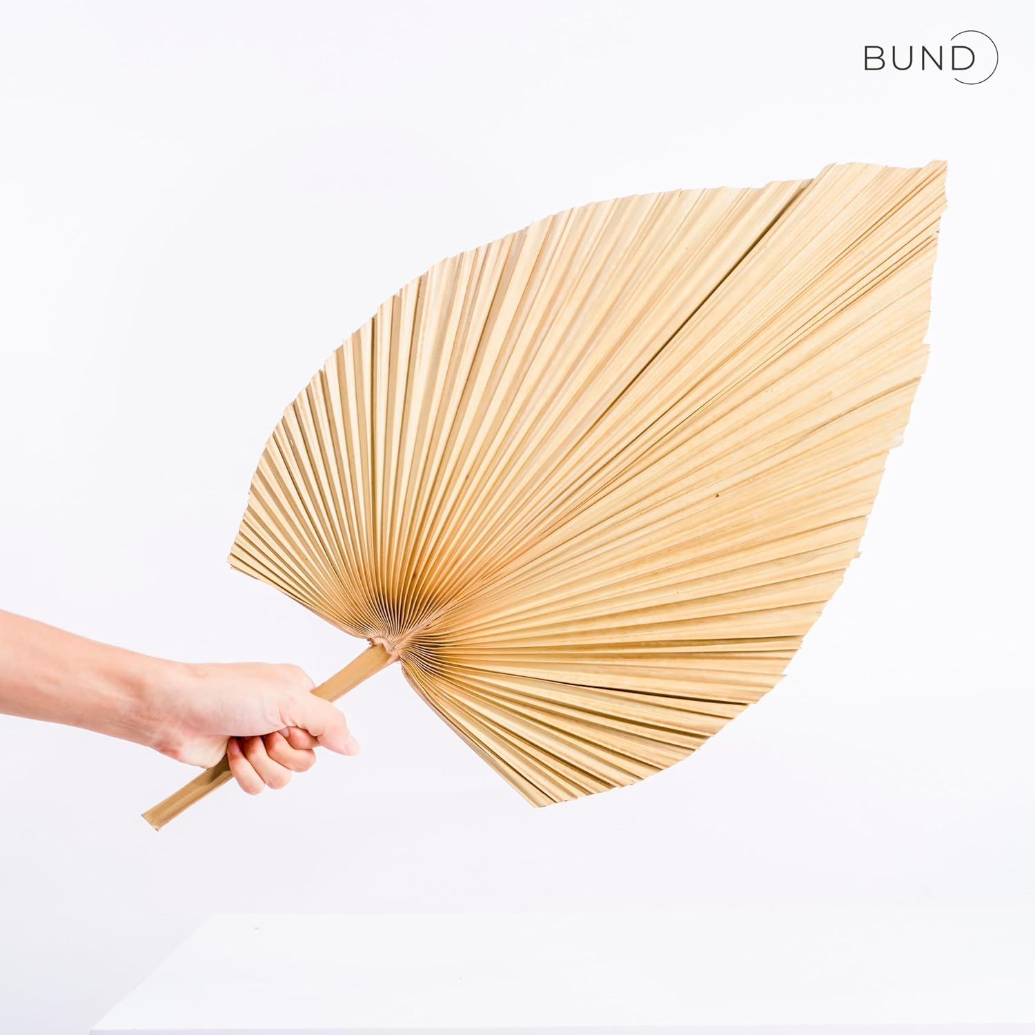 3Pcs Large Dried Palm Leaves Decor Fans Boho Wedding Table Decor