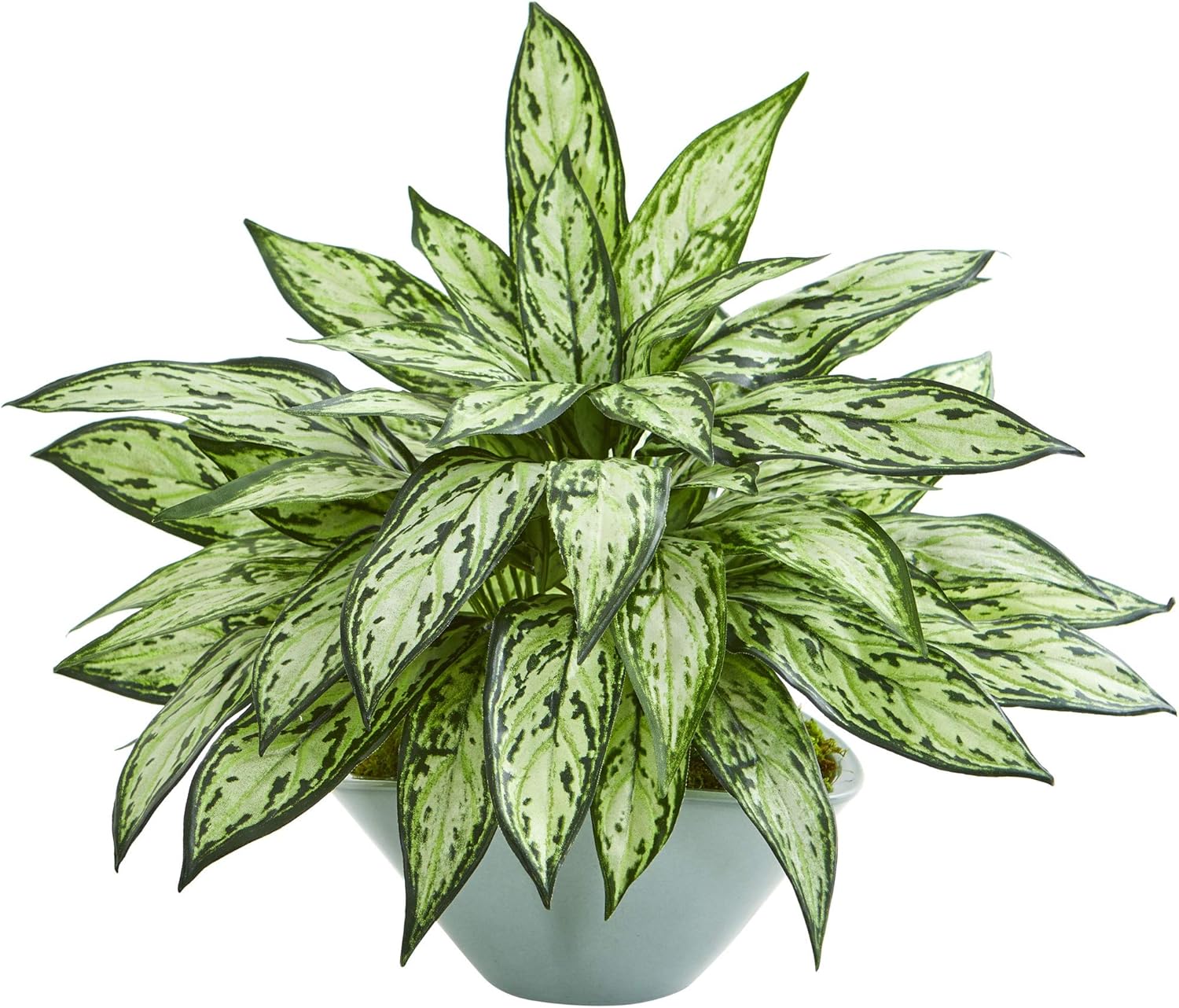 Nearly Natural Silver Queen Artificial Plant in Green Vase 1