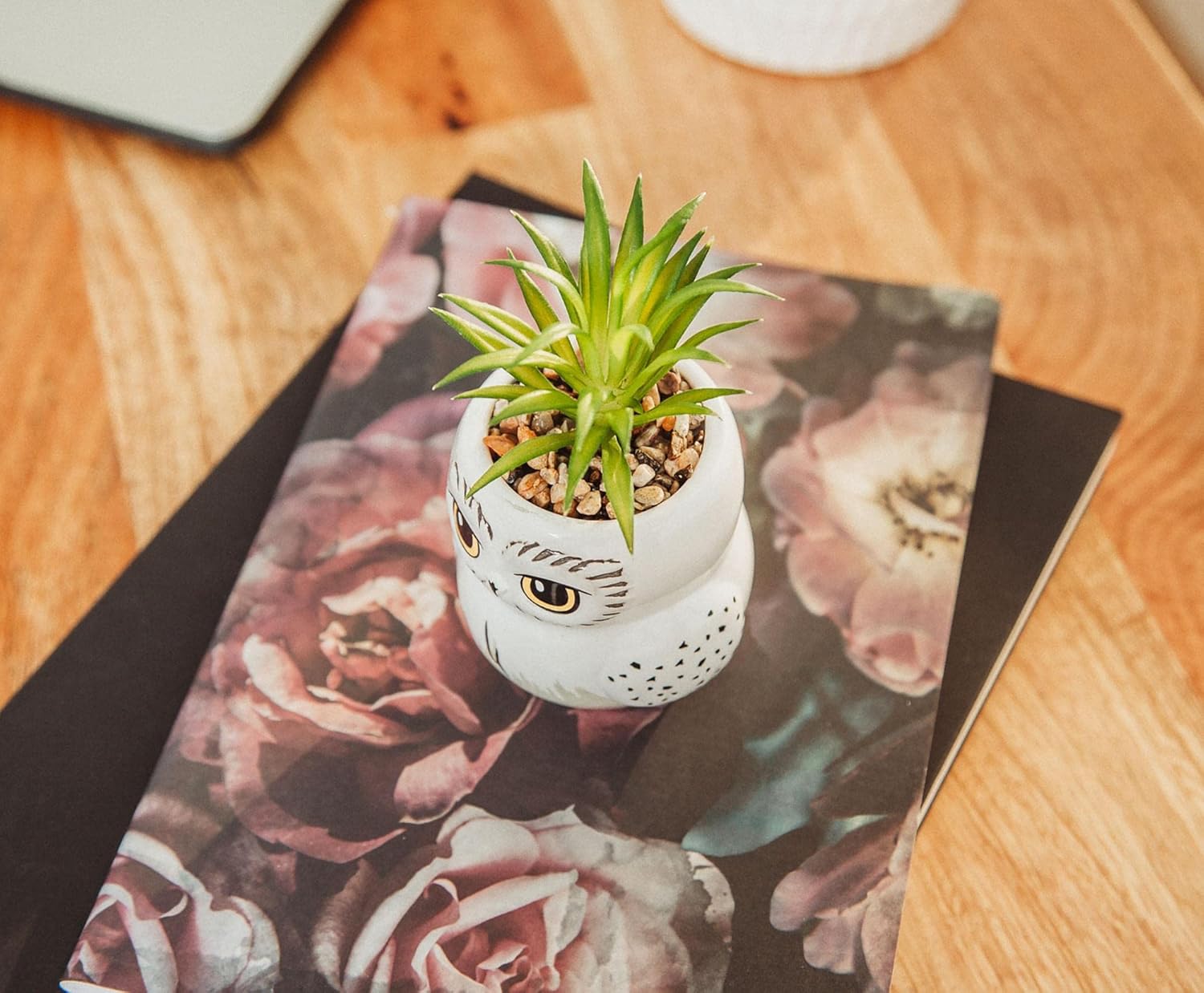 Harry Potter Hedwig 3-inch Ceramic Mini Planter with Artificial Succulent