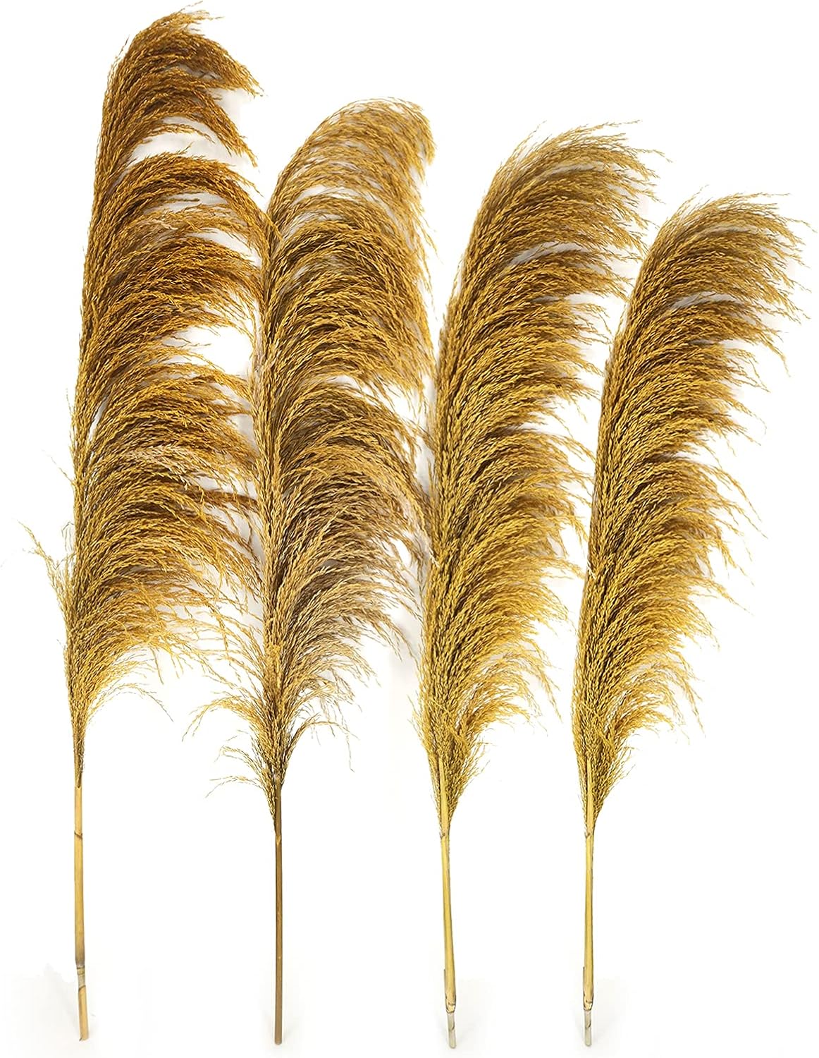 Gold Yellow Pampas Grass 4Pcs Rustic Decor for Living Room