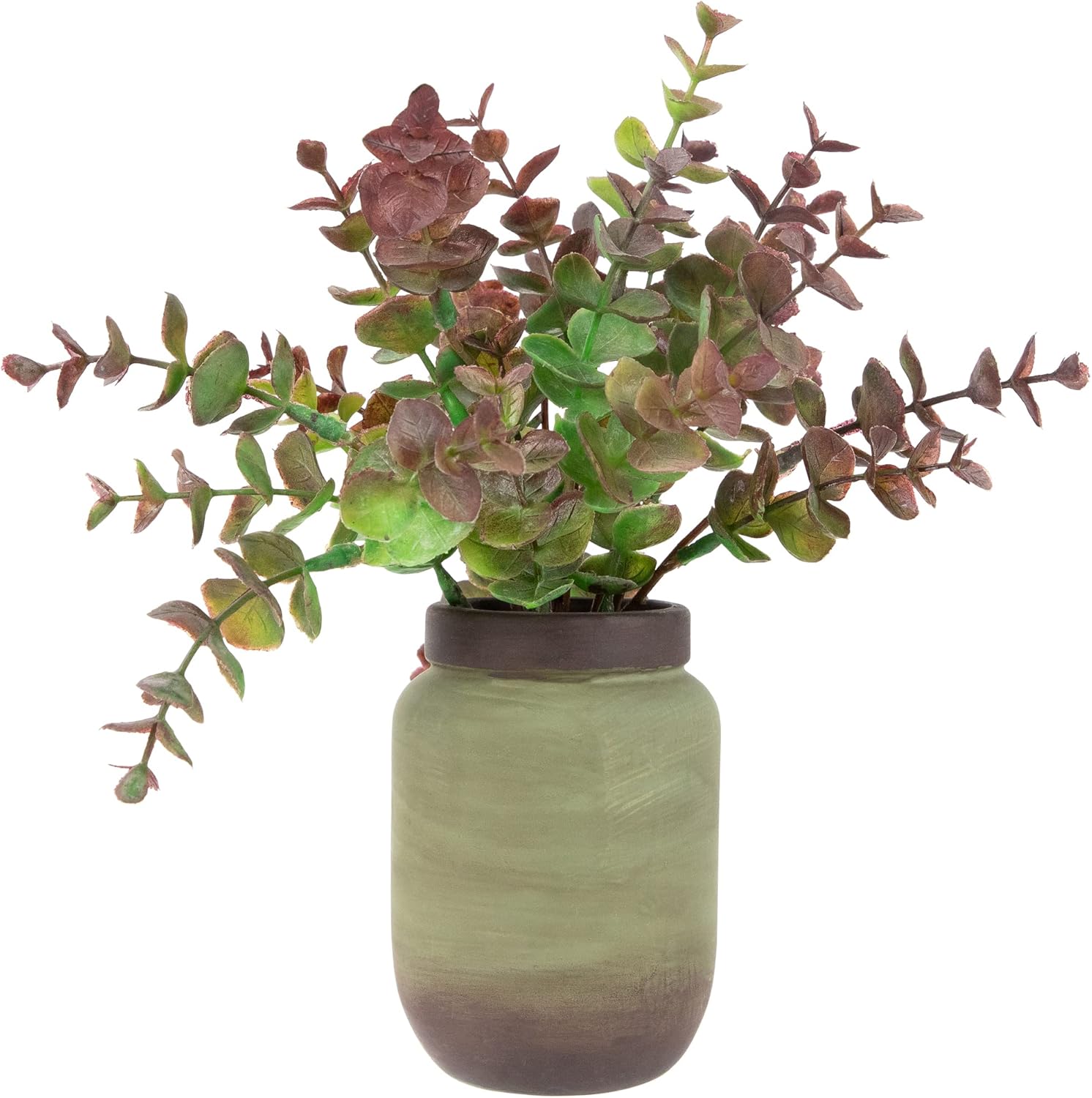 Northlight Real Touch Two-Toned Spring Eucalyptus Artificial Plant in Ceramic Pot 10 Inch