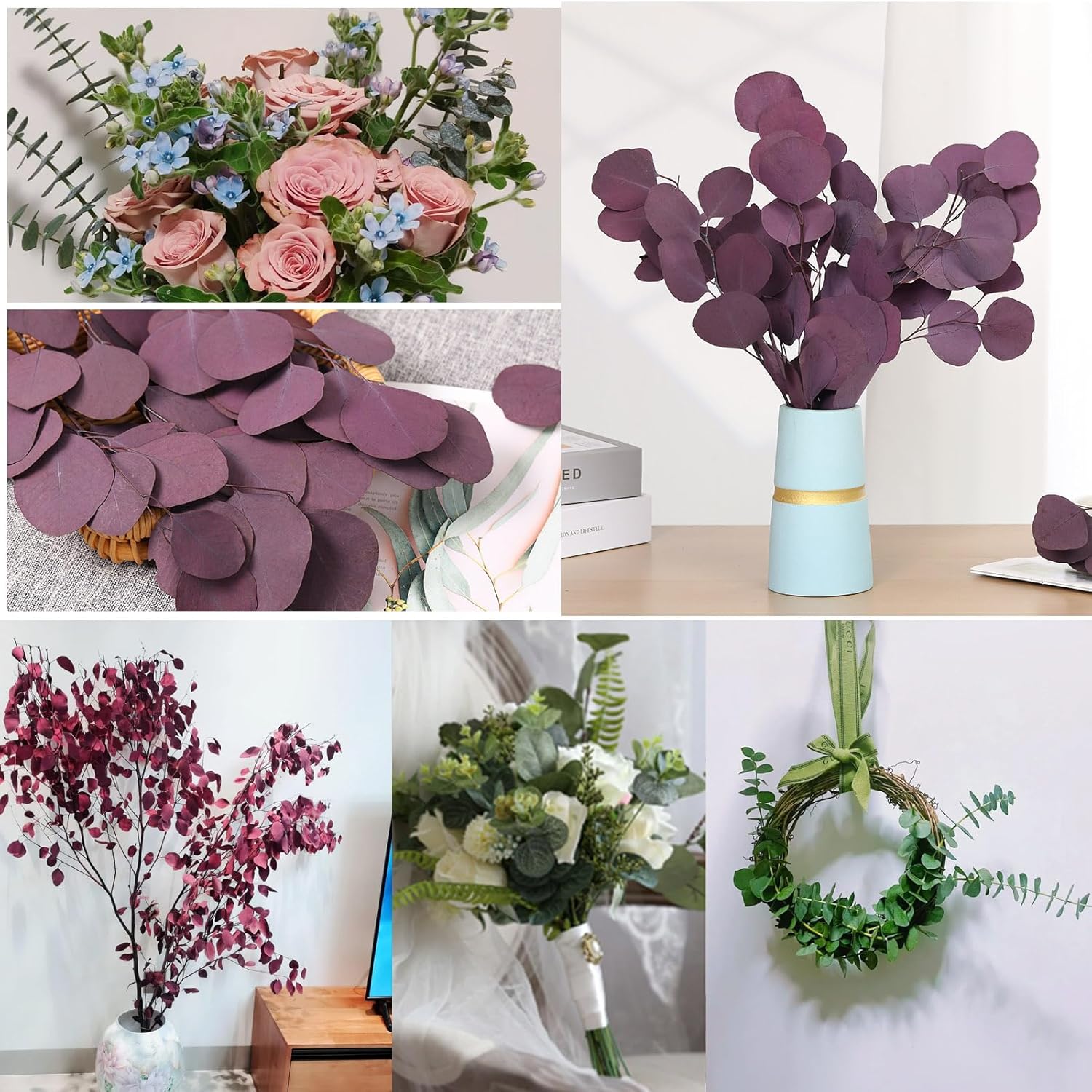 Preserved Dried Eucalyptus Stems for Vase Decor and Home Decor