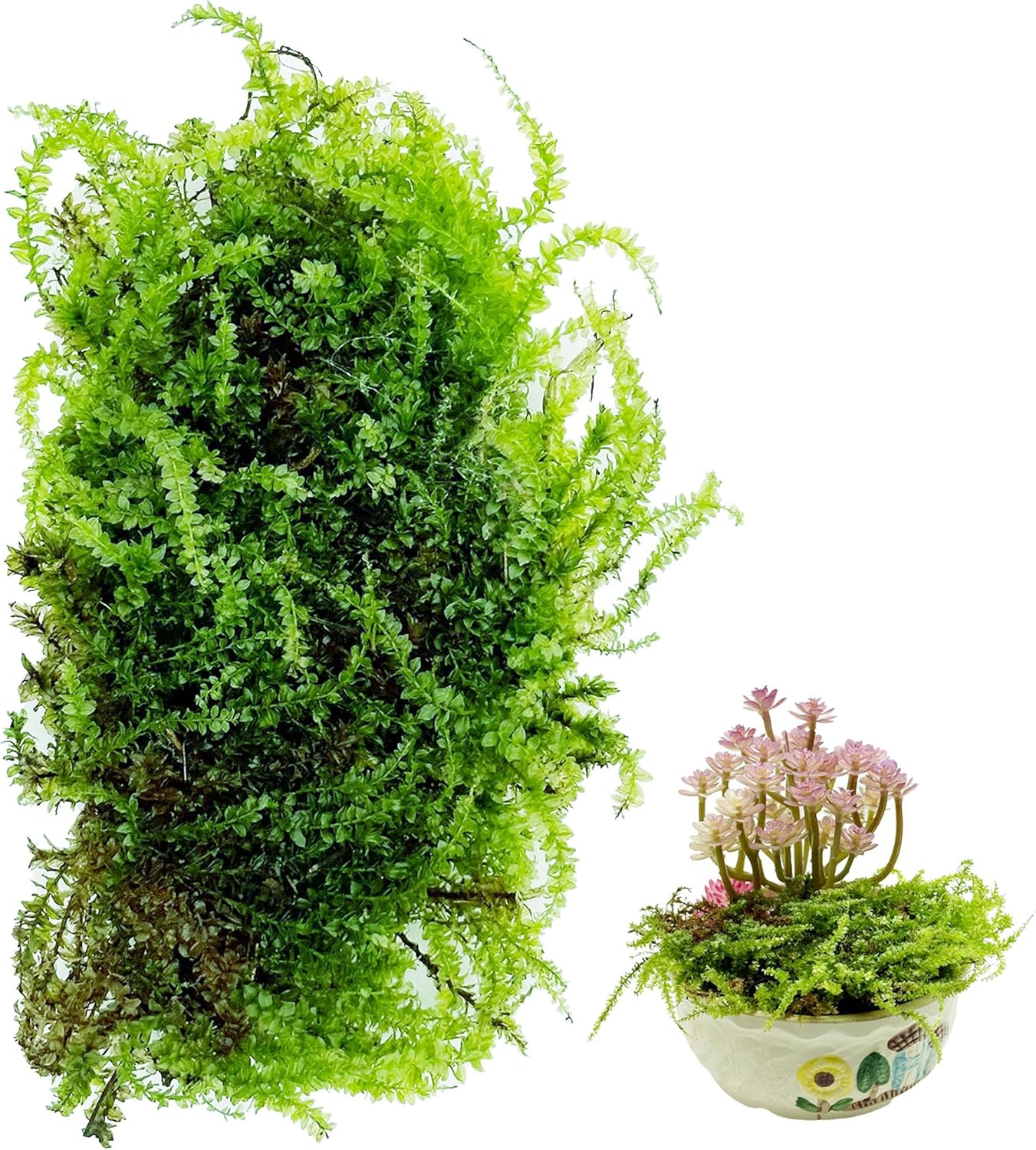 Cayway Artificial Green Moss for Plant Crafts