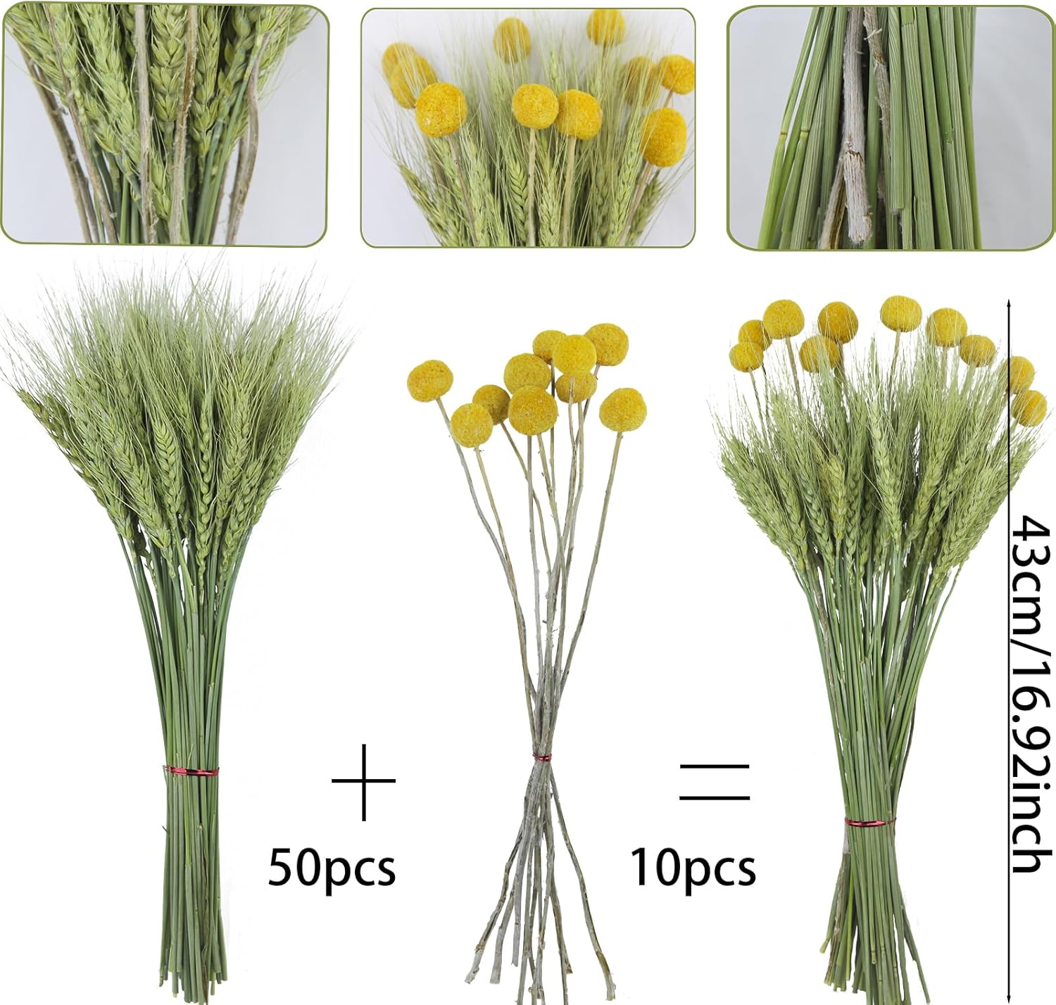 CISDUEO 60 Pcs Natural Dried Wheat Stalks Bundle