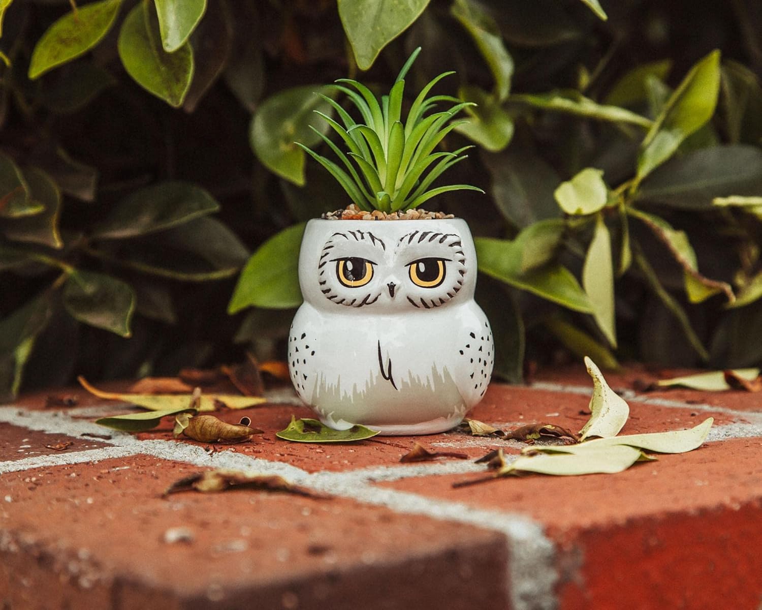 Harry Potter Hedwig 3-inch Ceramic Mini Planter with Artificial Succulent
