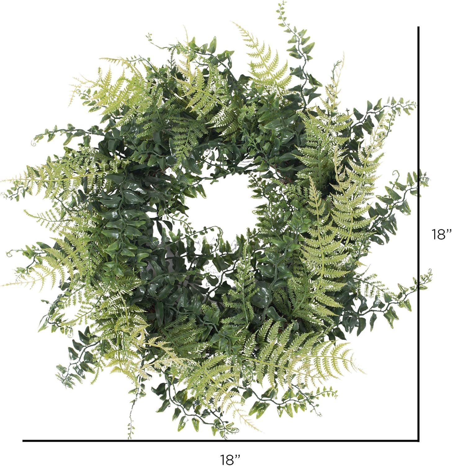 Vickerman 18 Inch Artificial Green Buckler Fern Wreath