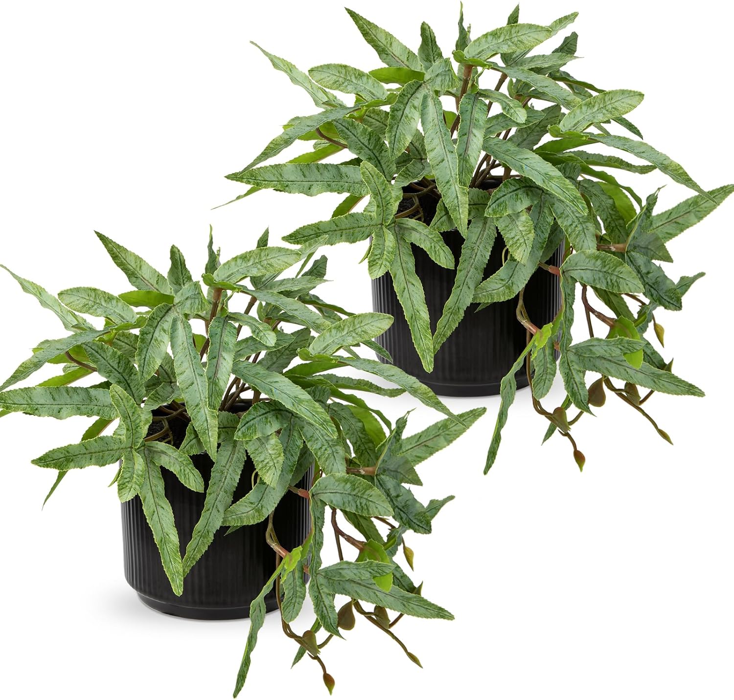 Briful Artificial Fern Plant 9 Indoor 2 Pack