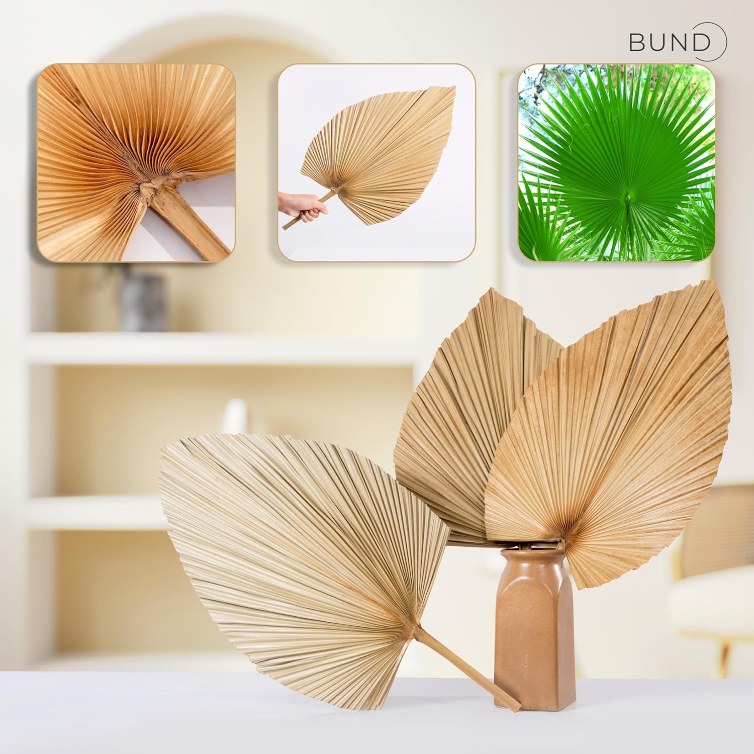 3Pcs Large Dried Palm Leaves Decor Fans Boho Wedding Table Decor