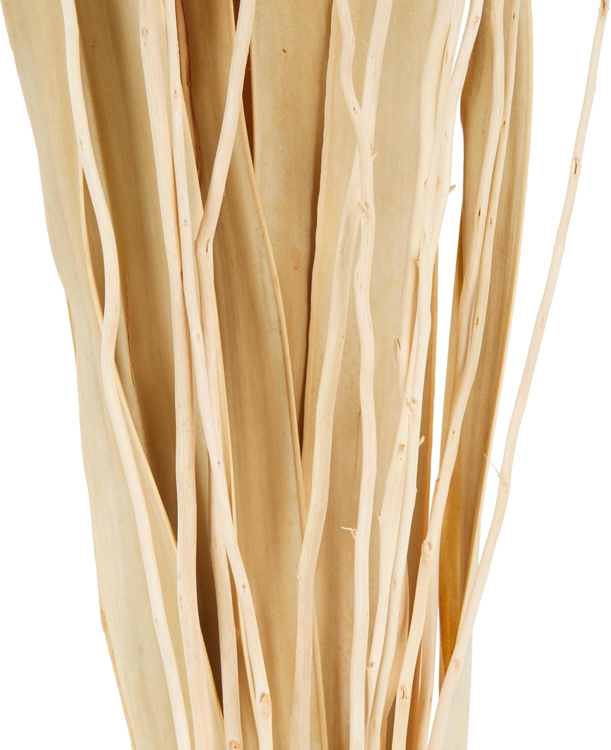 Deco 79 Dried Cream Foliage Decor 10x10x49