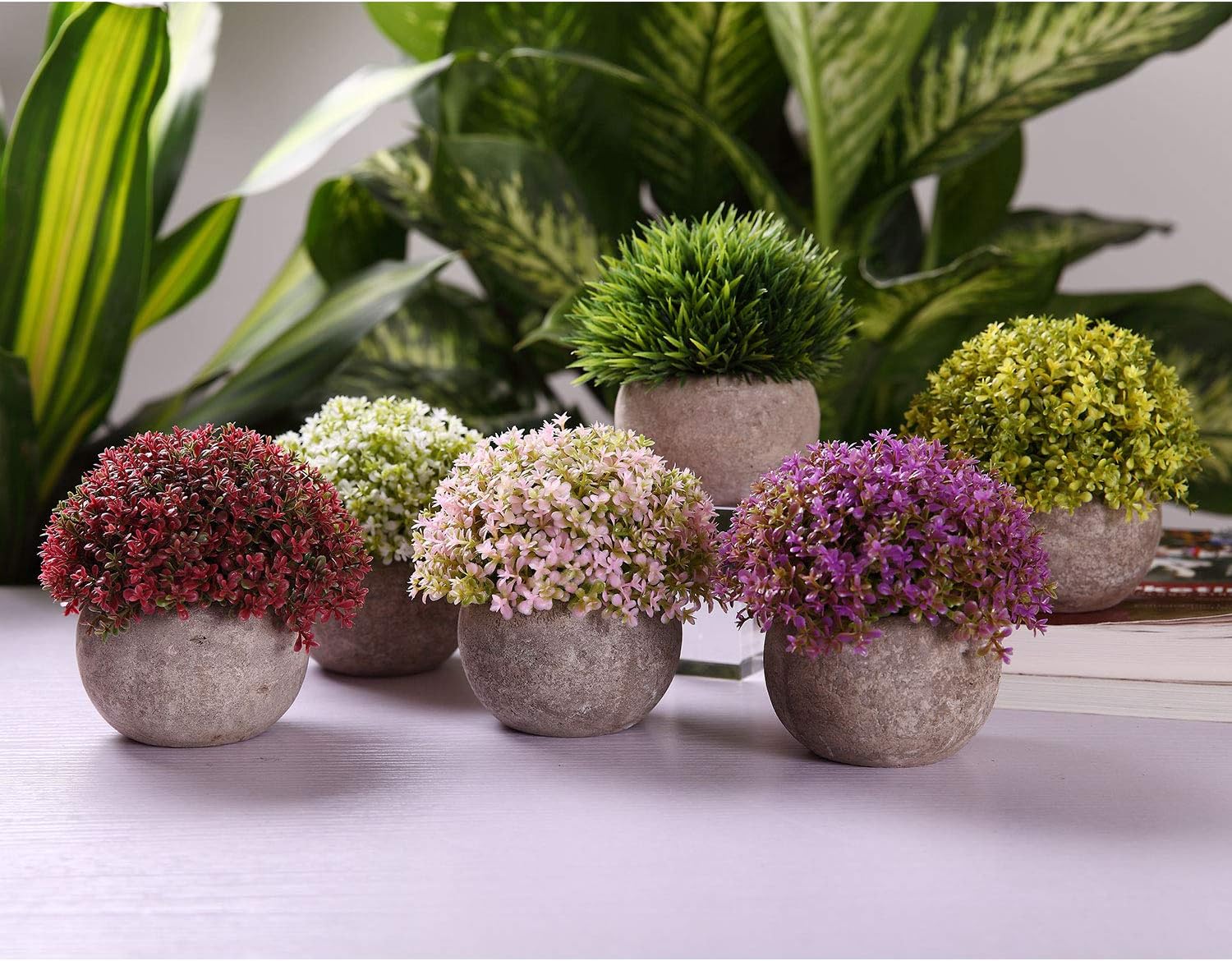 T4U Artificial Succulent Plants in Pots Set of 6