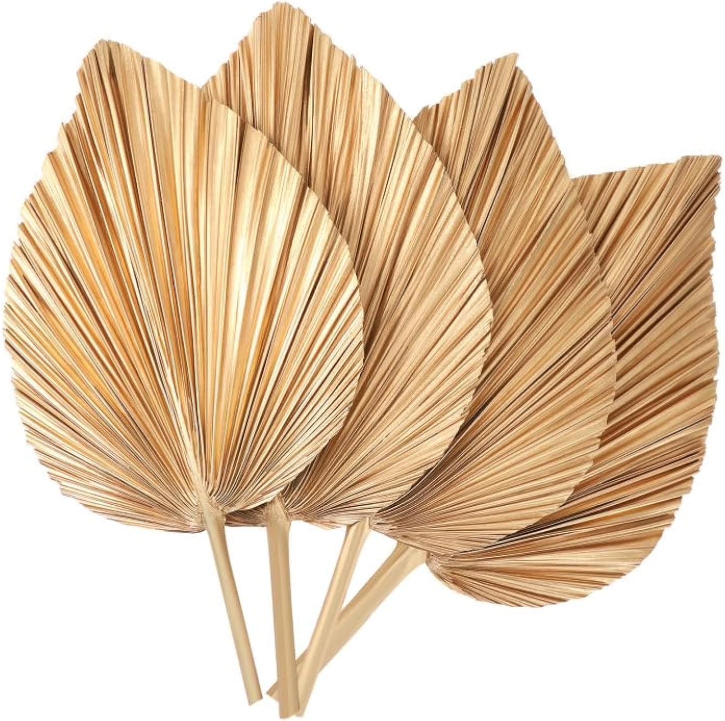 4 Pcs Large Gold Dried Palm Leaves Decor
