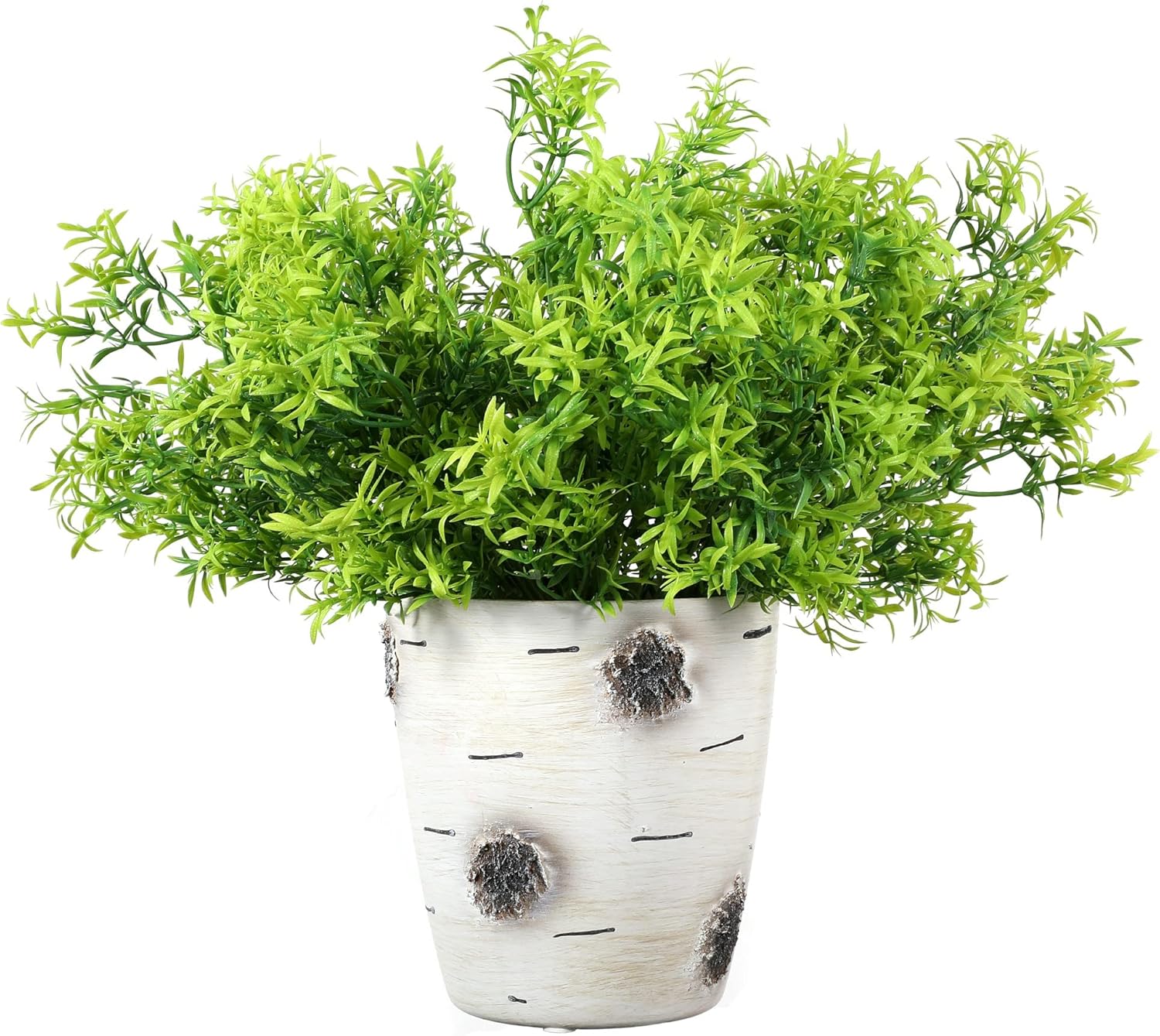 Grand Verde Asparagus Artificial Plants Set of 10