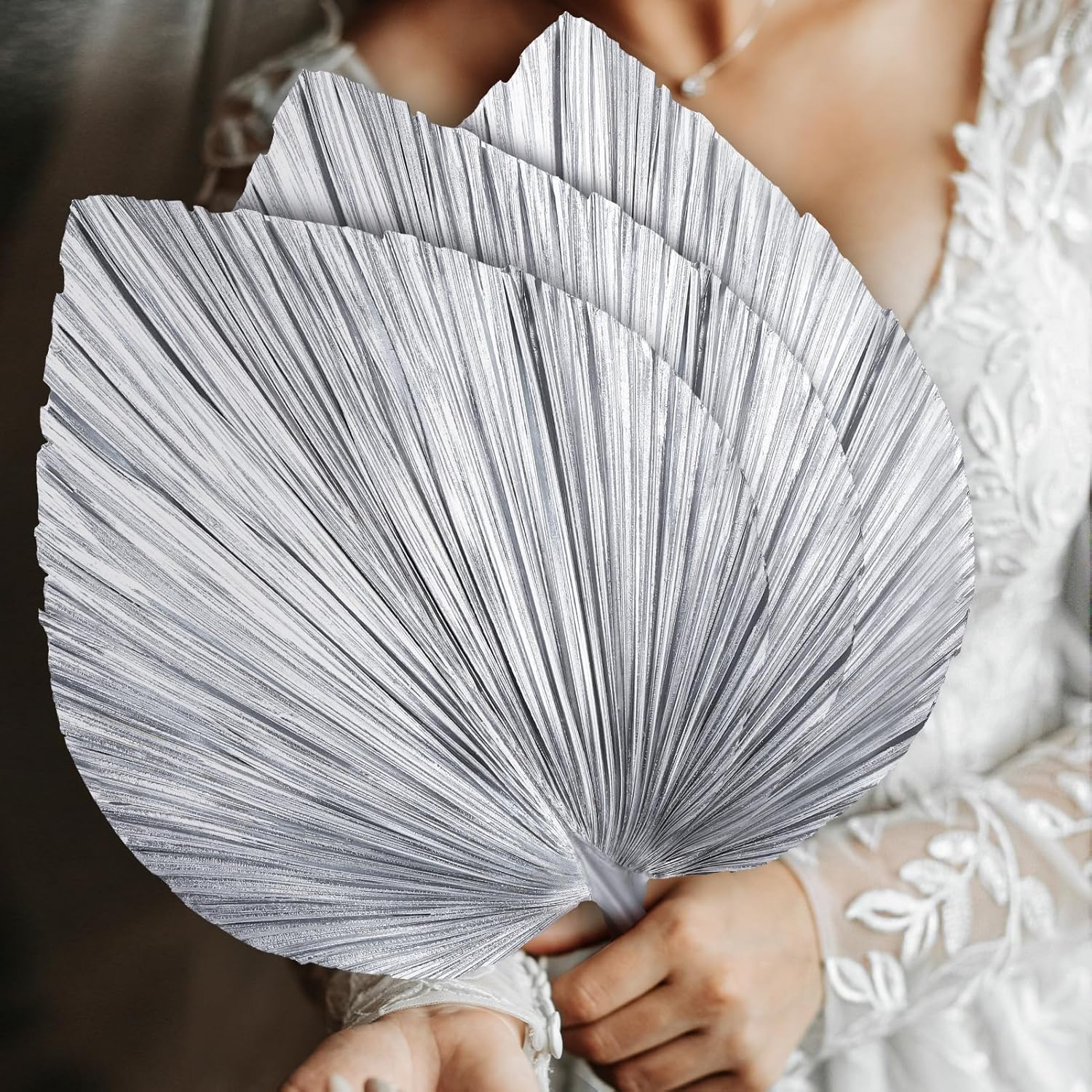 4 Pcs Large Silver Dried Palm Leaves Boho Decor