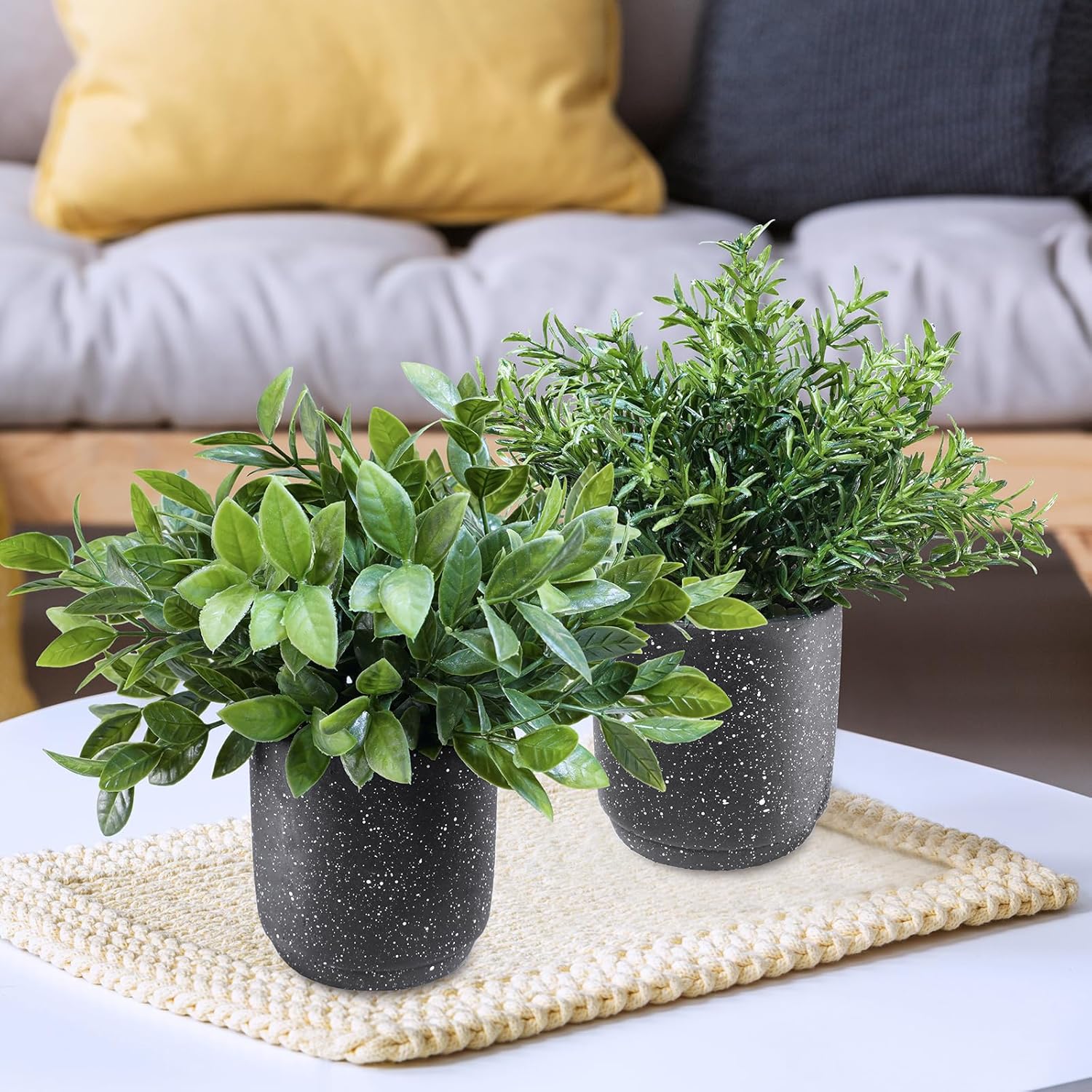 Winlyn 3 Pack Artificial Plants in Black Cement Pots