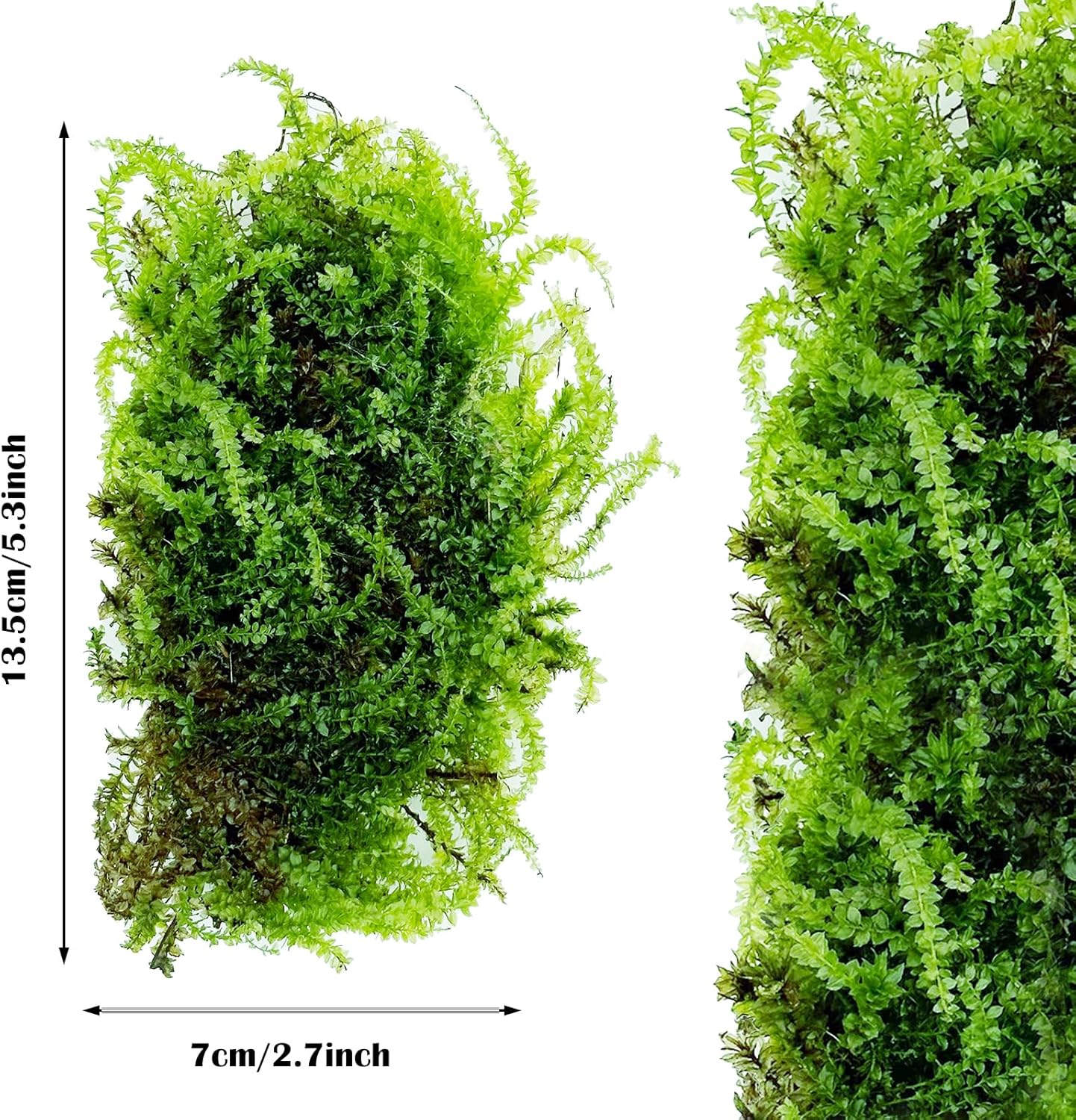 Cayway Artificial Green Moss for Plant Crafts
