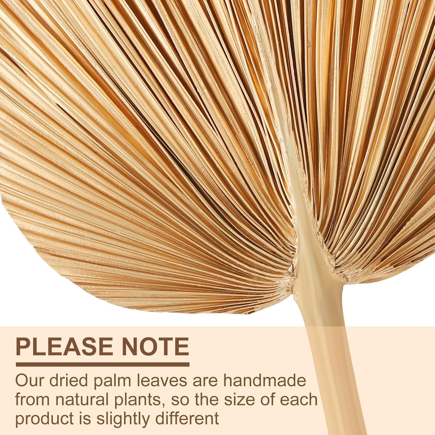 4 Pcs Large Gold Dried Palm Leaves Decor