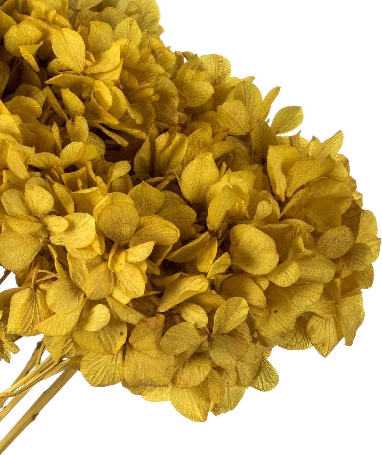 Vickerman Yellow Hydrangea 15 Inch Artificial Flower