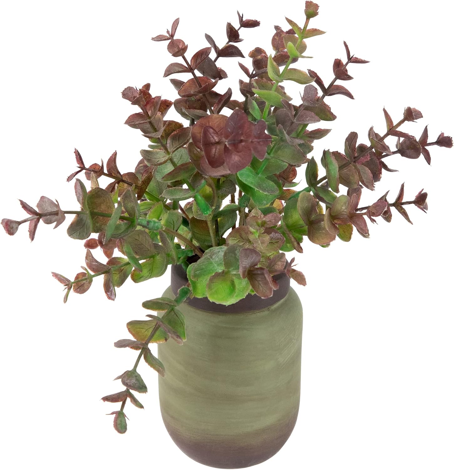 Northlight Real Touch Two-Toned Spring Eucalyptus Artificial Plant in Ceramic Pot 10 Inch