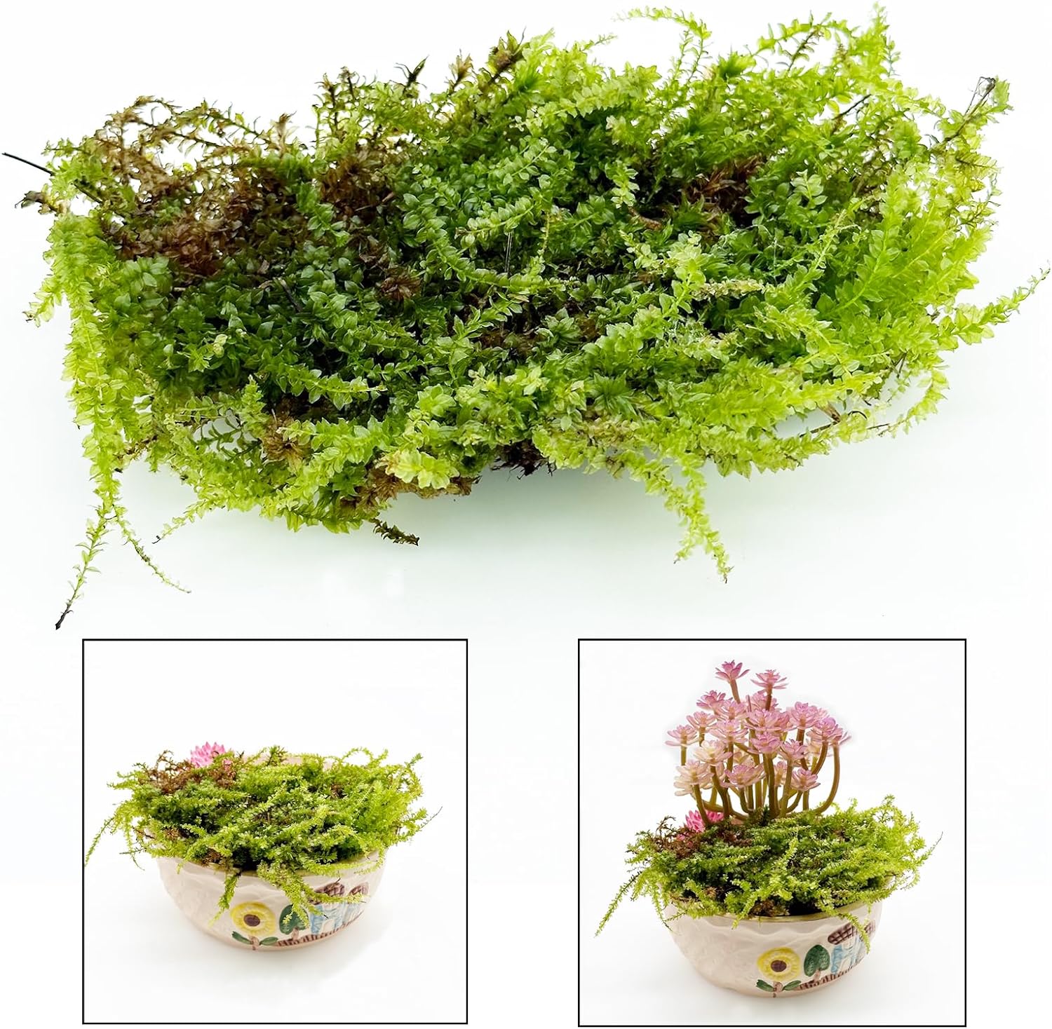 Cayway Artificial Green Moss for Plant Crafts