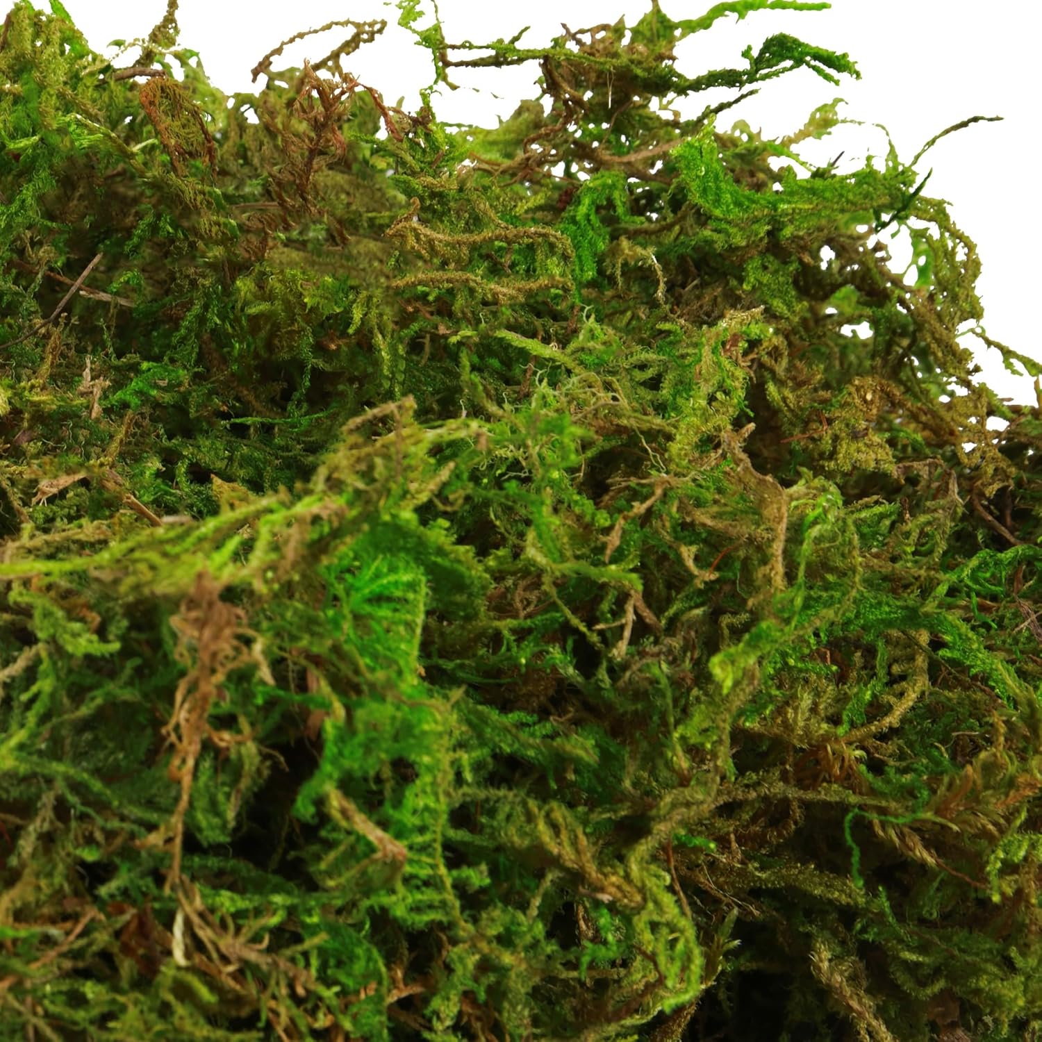 BYHER Artificial Moss for Indoor Plants 16OZ Green Faux Moss