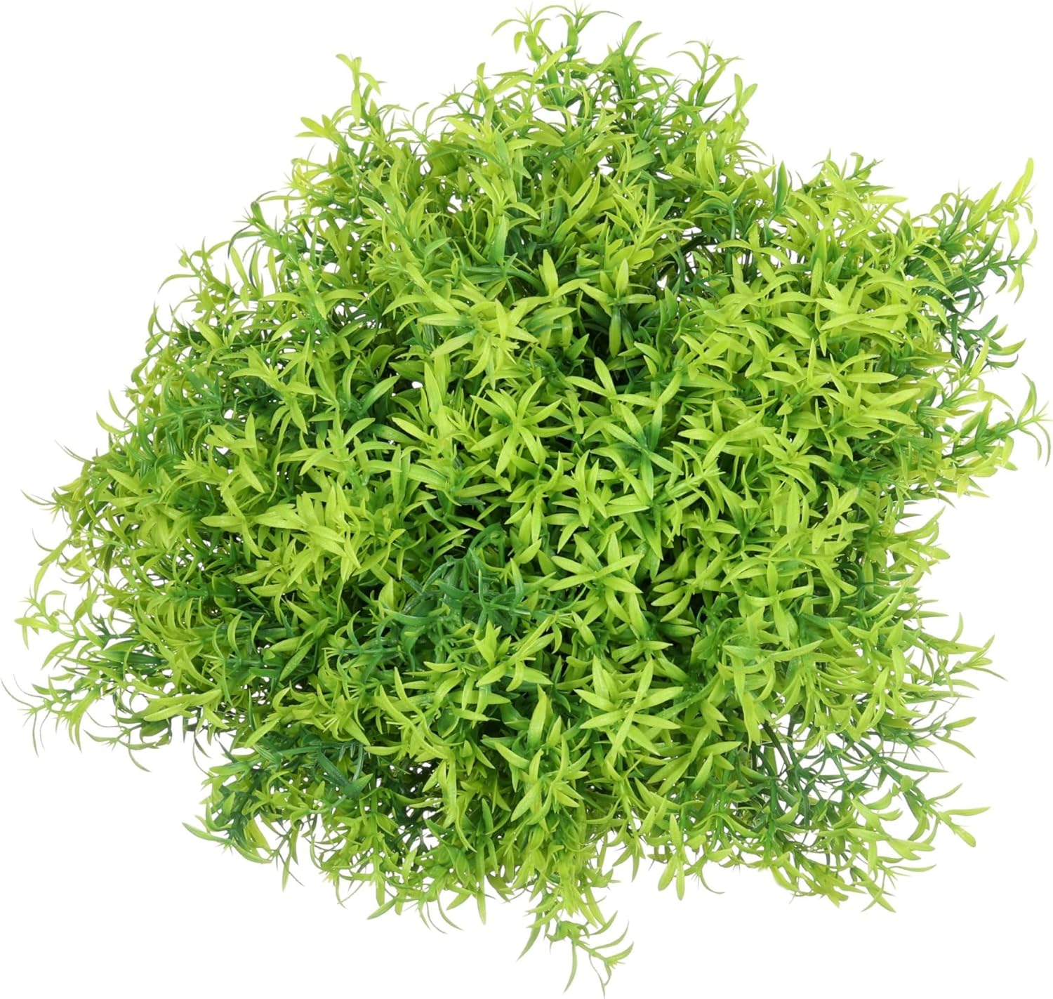 Grand Verde Asparagus Artificial Plants Set of 10