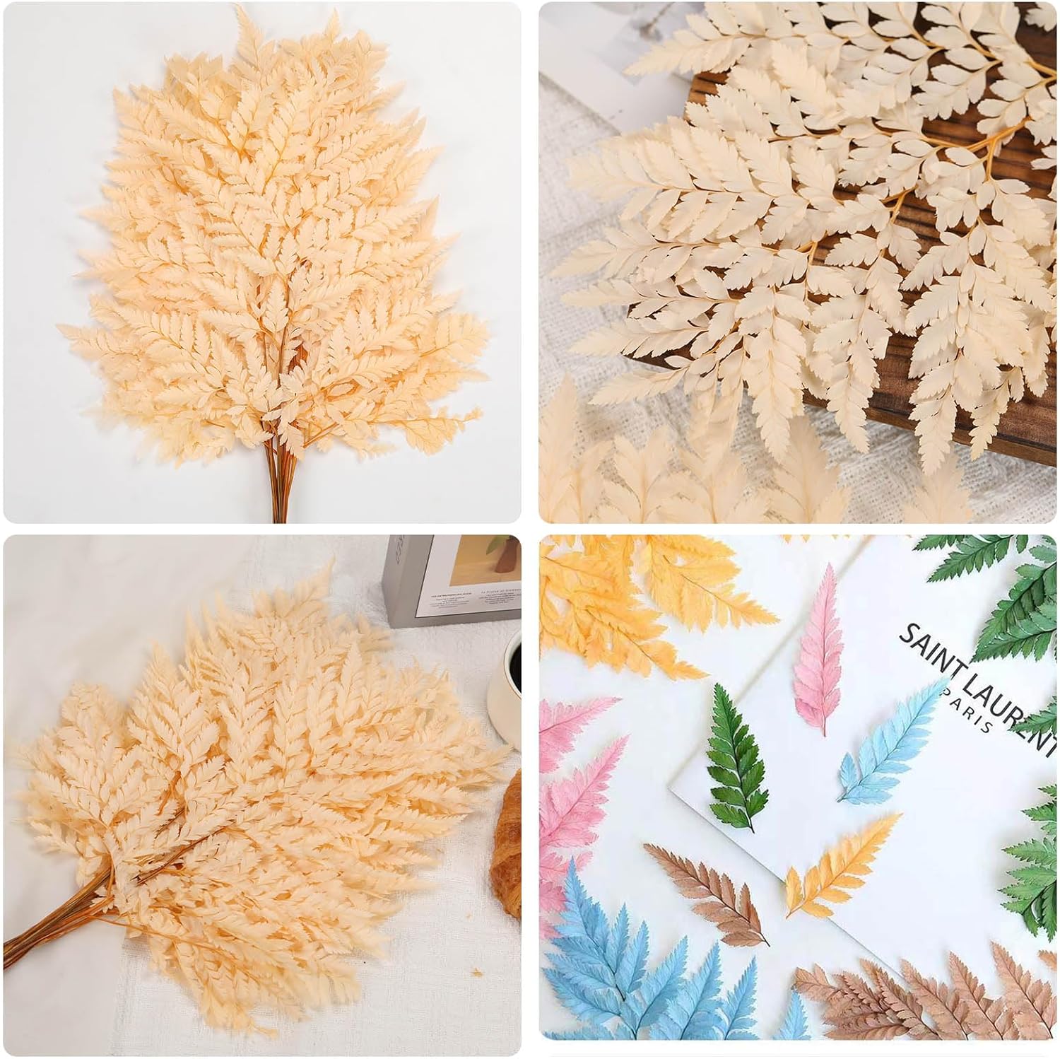 Tavkite Dried Boston Ferns 10 PCS Realistic Leaves for Wedding Decorations