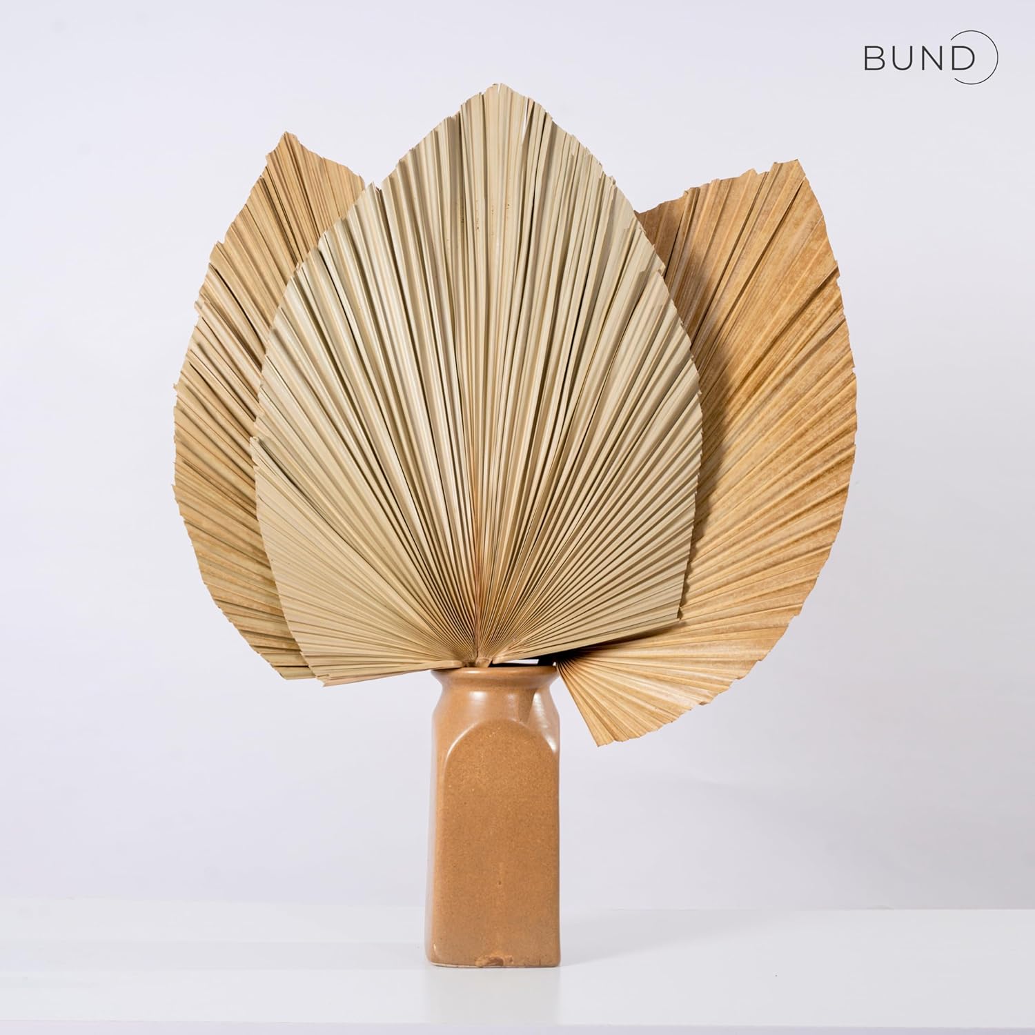 3Pcs Large Dried Palm Leaves Decor Fans Boho Wedding Table Decor